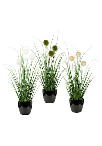 Leonique Kunstgras »Grasbusch mit Kletten«, (Set, 3 St.), Kunstpflanze, Gras, im Topf,... kaufen