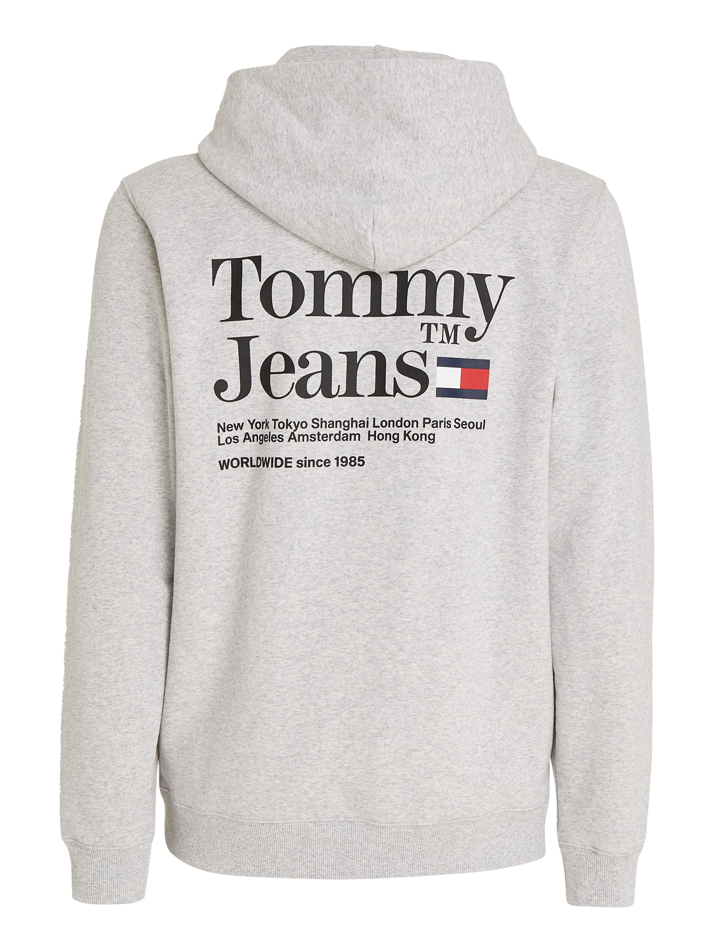 Tommy Jeans Kapuzensweatshirt »TJM REG MODERN TOMMY TM HOODIE«