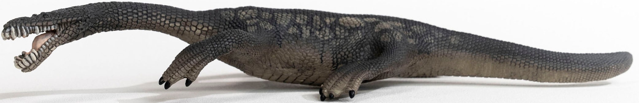 Schleich® Spielfigur »DINOSAURS, Nothosaurus (15031)«