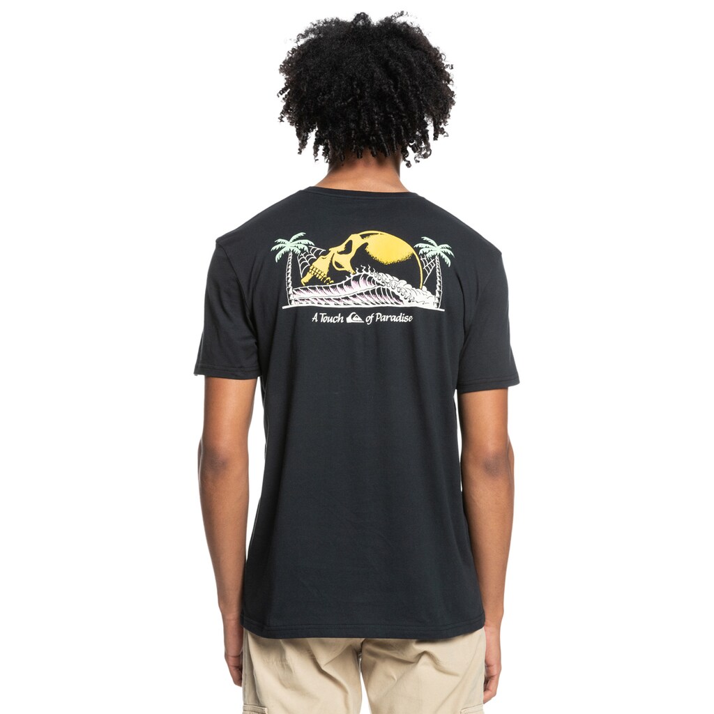 Quiksilver T-Shirt »Rogue Air«