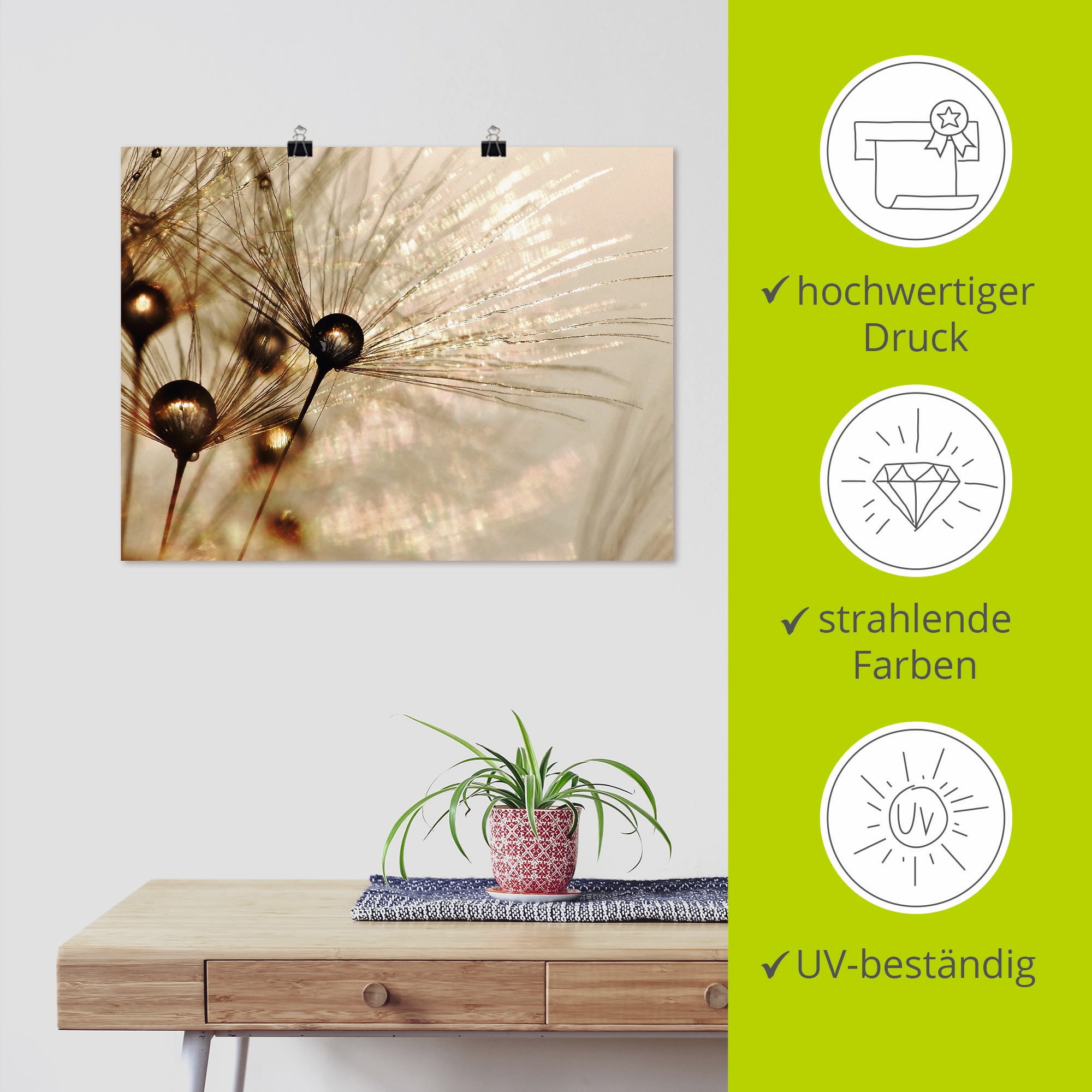 Artland Wandbild »Pusteblume Goldener Tropfen« Blumen 1 Stk. tlg. als Alubild, Outdoorbild, Leinwandbild, Poster, Wandaufkleber