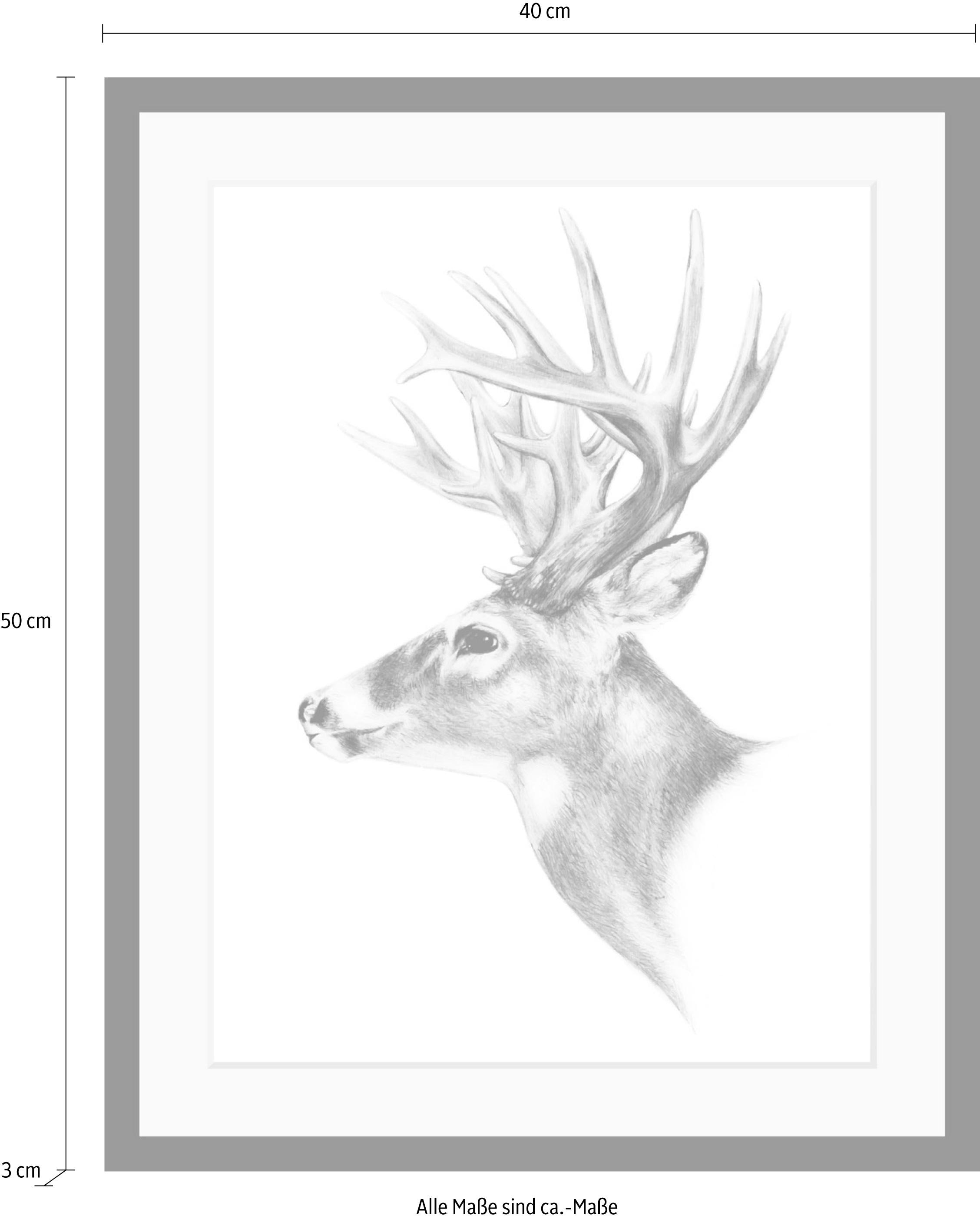 queence Bild »Hirsch« Hirsch | Hirschbilder | Schwarz-Weiß | Tiere | Wildtiere HD Premium Poster-Druck inkl. Holzrahmen