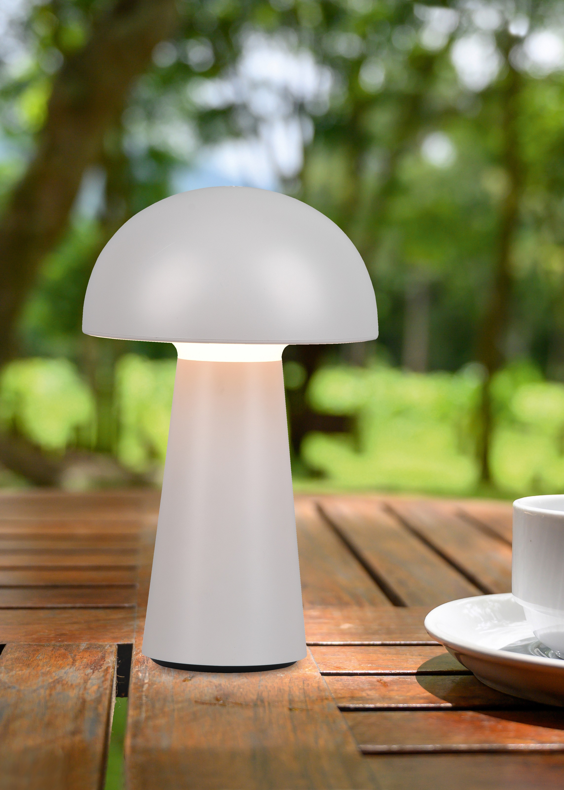 REALITY Leuchten LED Außen-Tischleuchte »Lennon«, Schutzart IP44, LED fest integriert, 4-fach Touchdimmer, Ladefunktion per USB-C