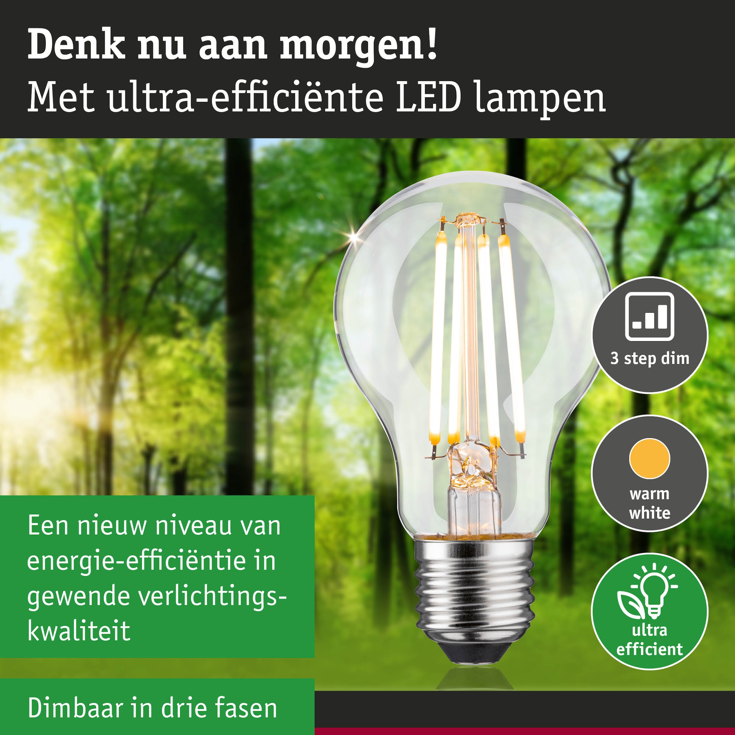 Paulmann LED-Leuchtmittel »Eco-Line Filament 230V LED Birne E27 1055lm 5,7W 3000K dimmbar Klar« E27 1 Stk. Warmweiß