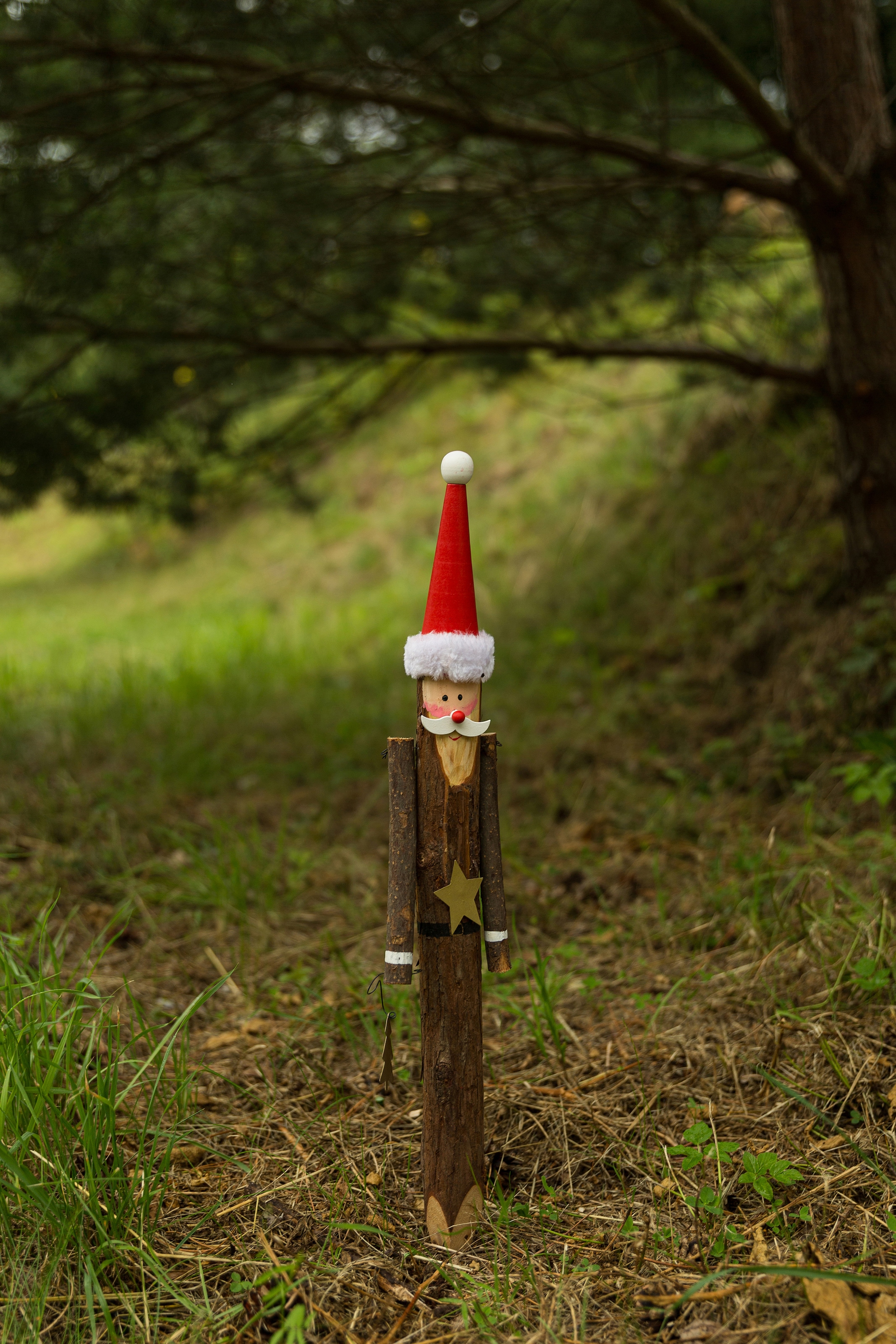 Myflair Möbel & Accessoires Gartenstecker »Weihnachtsdeko aussen«, (1 St.), Weihnachtsmann Motiv, aus Holz, Höhe ca. 25 cm