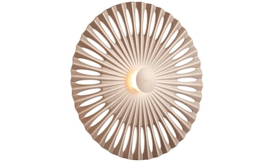 Brilliant Leuchten LED Wandleuchte »Phinx«, 1 flammig-flammig, Ø 32 cm, dekorativer... kaufen