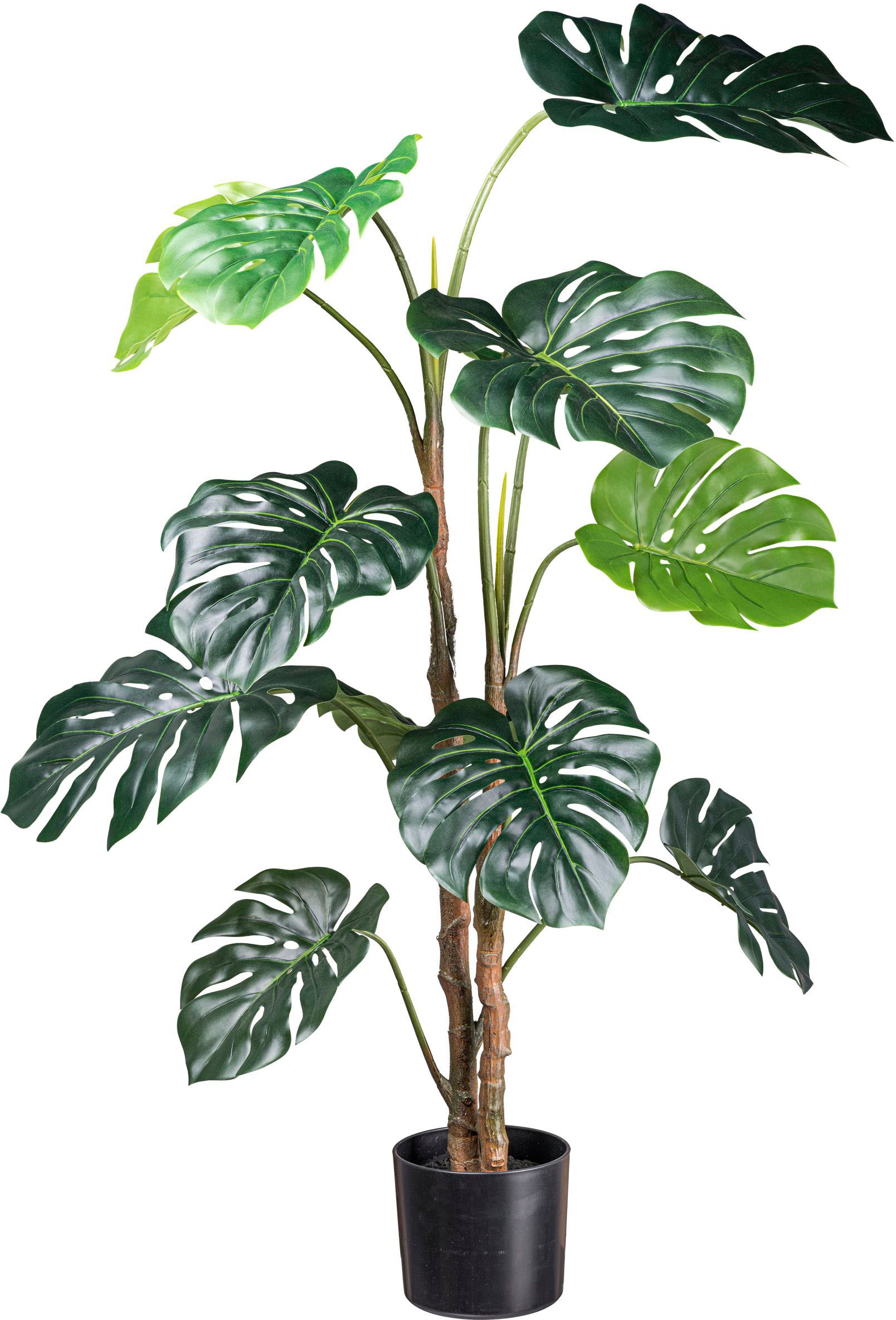 Künstliche Zimmerpflanze »Splitphilodendron«, mit detailgetreuem Blattwerk