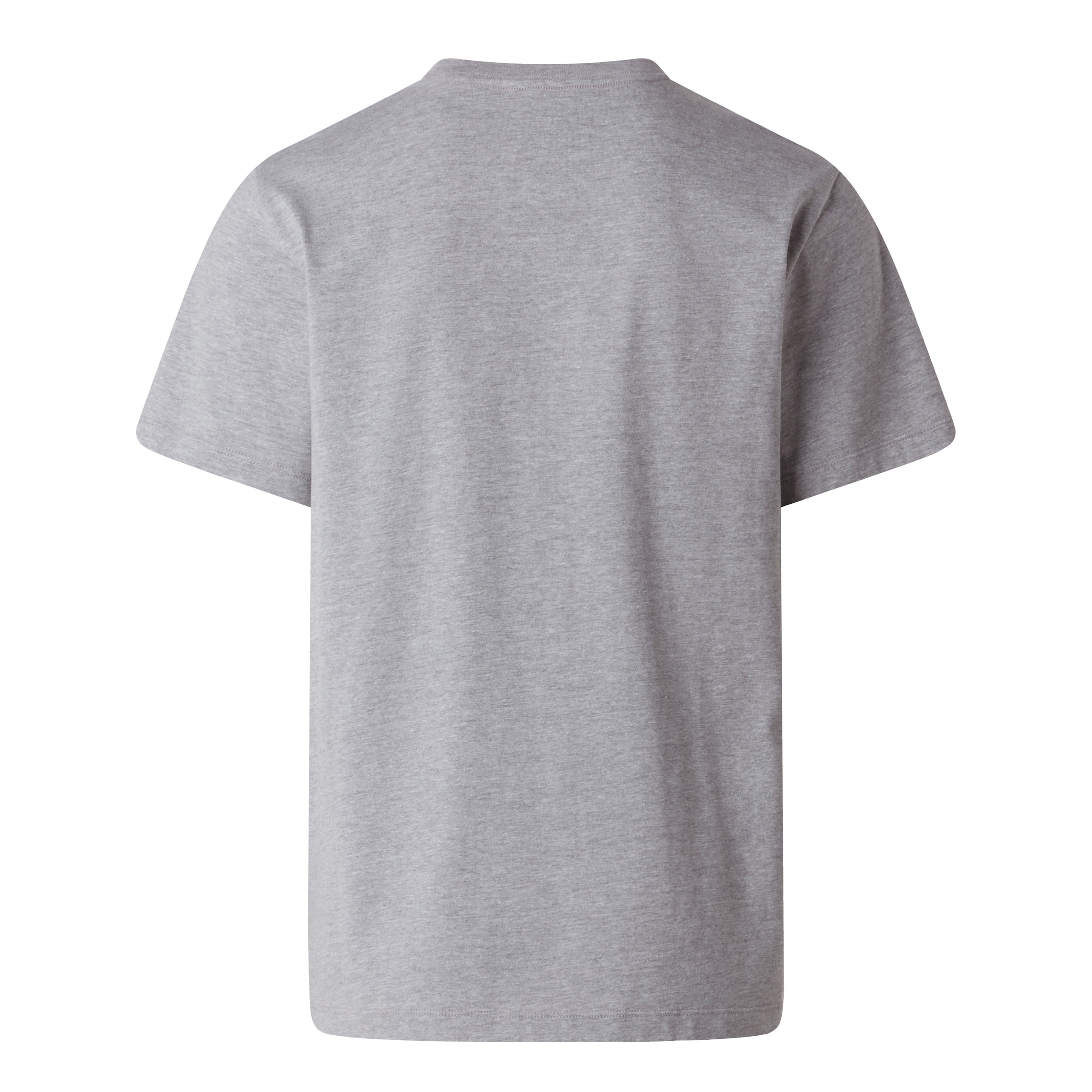 The North Face T-Shirt »M EVOLUTION SIMPLE DOME REGULAR SHORT SL« normale Passform, Kurzarm, für den Alltag, aus Baumwolle
