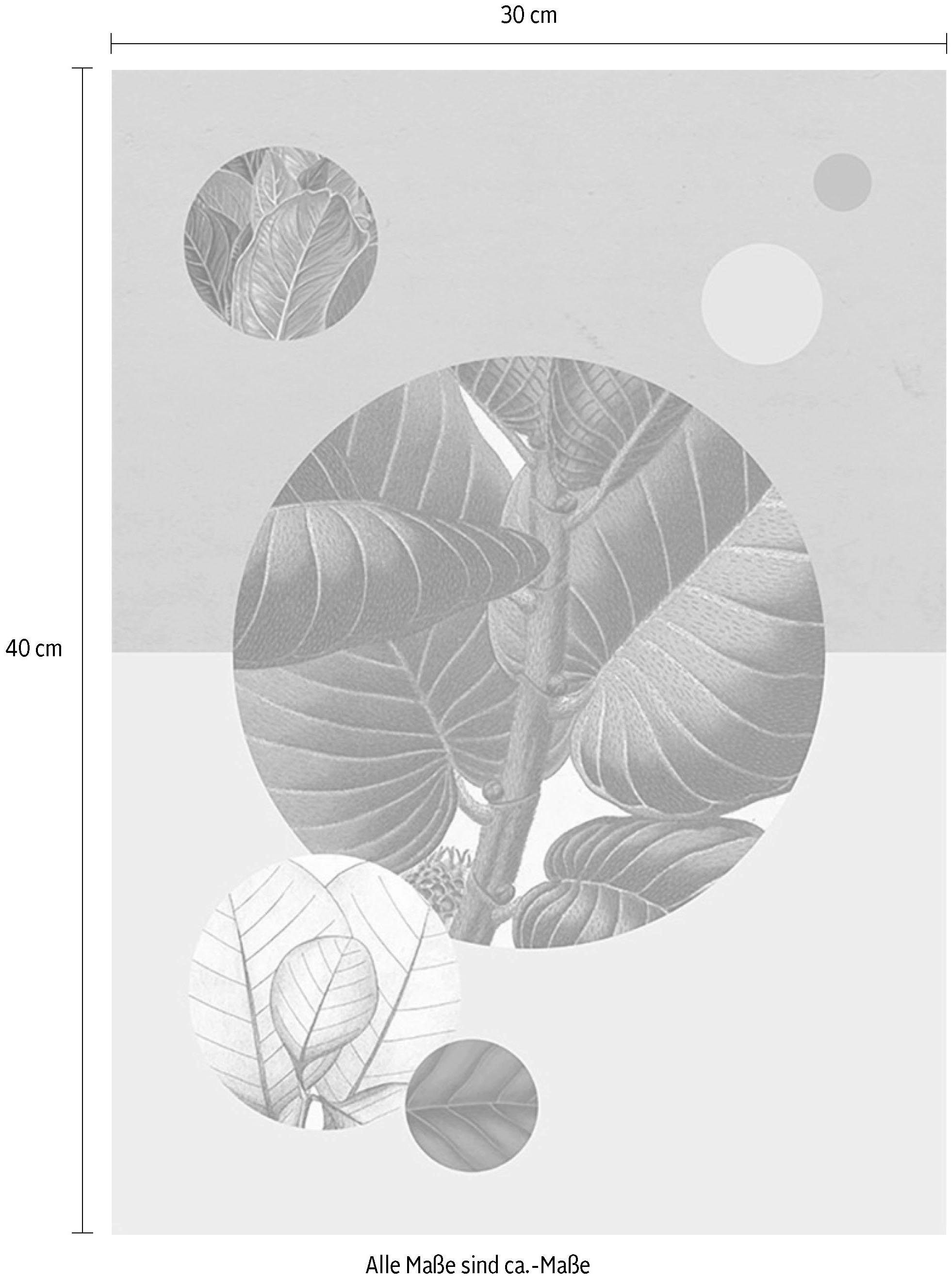 Komar Bild »Green Structure«, Pflanzen-Blätter, (1 St.), Wandbild zur Dekoration - ohne Rahmen
