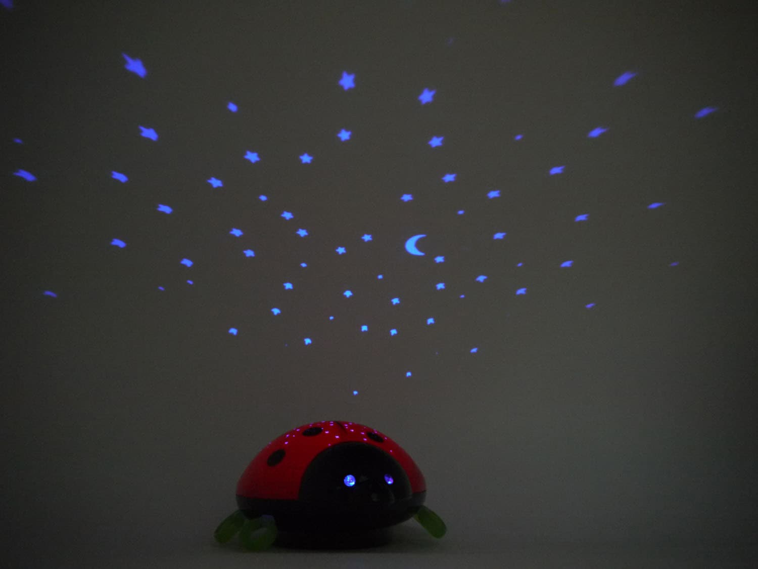 niermann LED Garantie Beetlestar | Nachtlicht kaufen flammig-flammig, Jahren mit 1 Nachtlicht online »Beetlestar«, 3 XXL