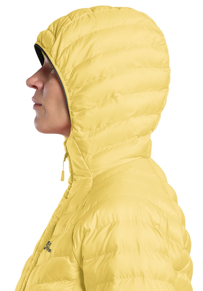 Jack Wolfskin Funktionsjacke »ROUTEBURN PRO INS JKT W« mit Kapuze
