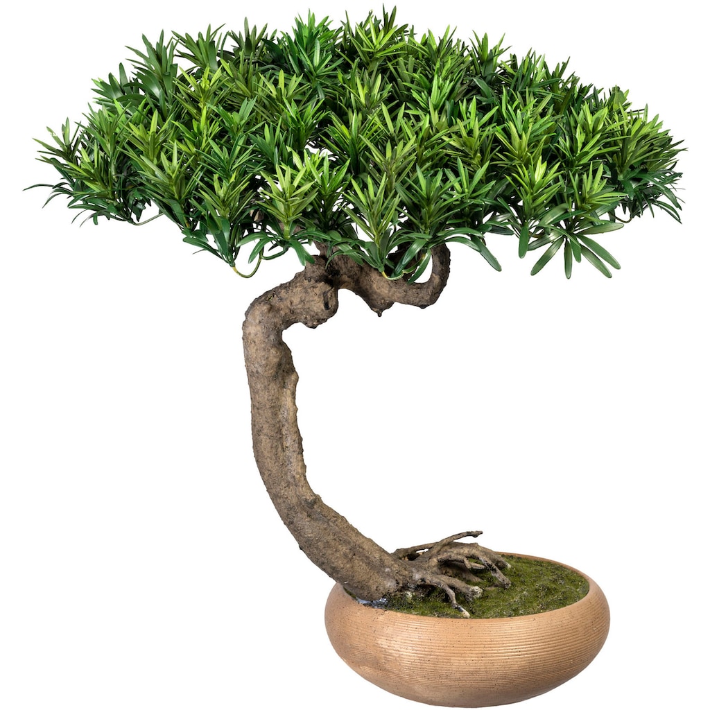 Creativ green Kunstbonsai »Bonsai Podocarpus Shankan«