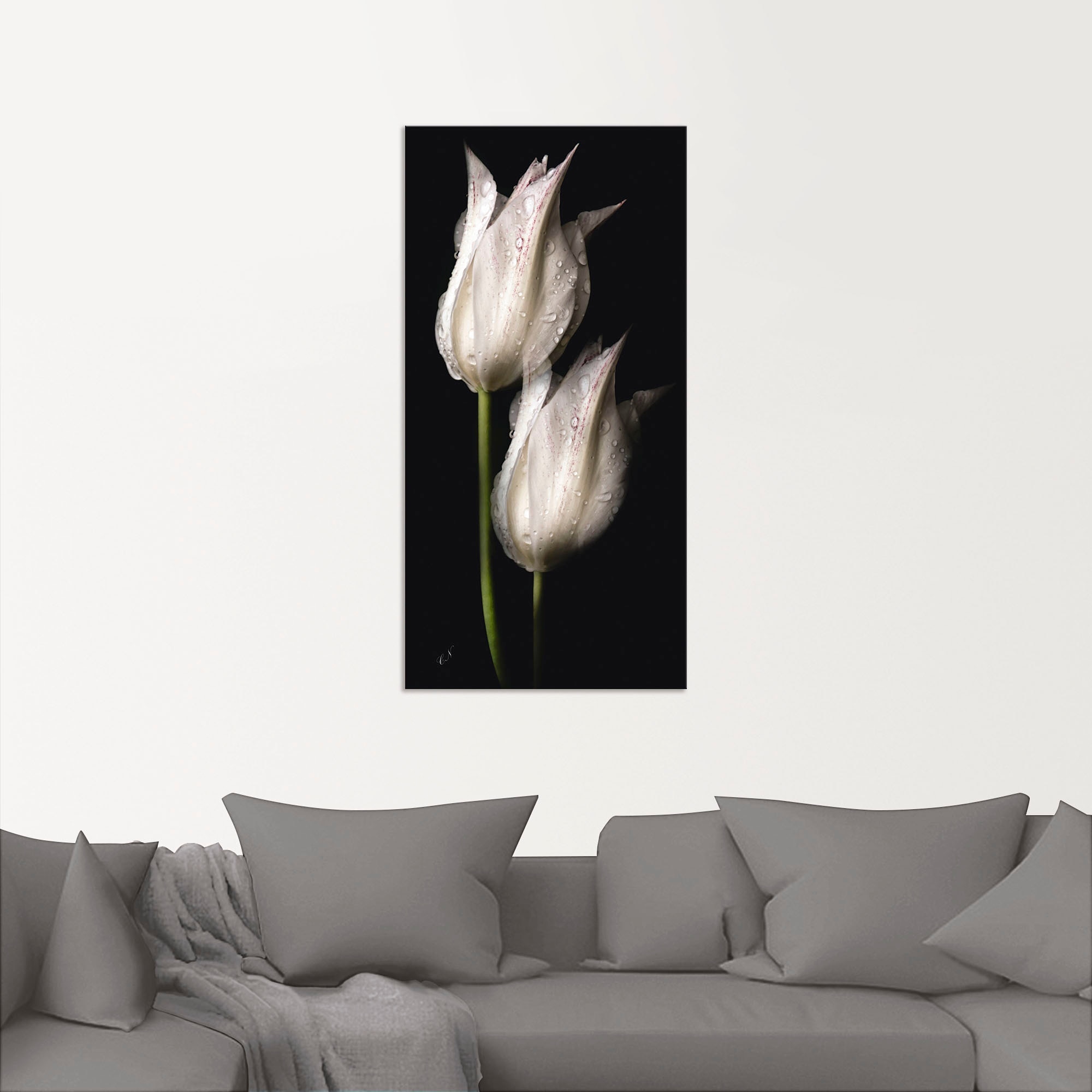 Artland Wandbild »Weiße Tulpen in der Nacht«, Blumenbilder, (1 St.), als Alubild, Outdoorbild, Leinwandbild, Poster, Wandaufkleber