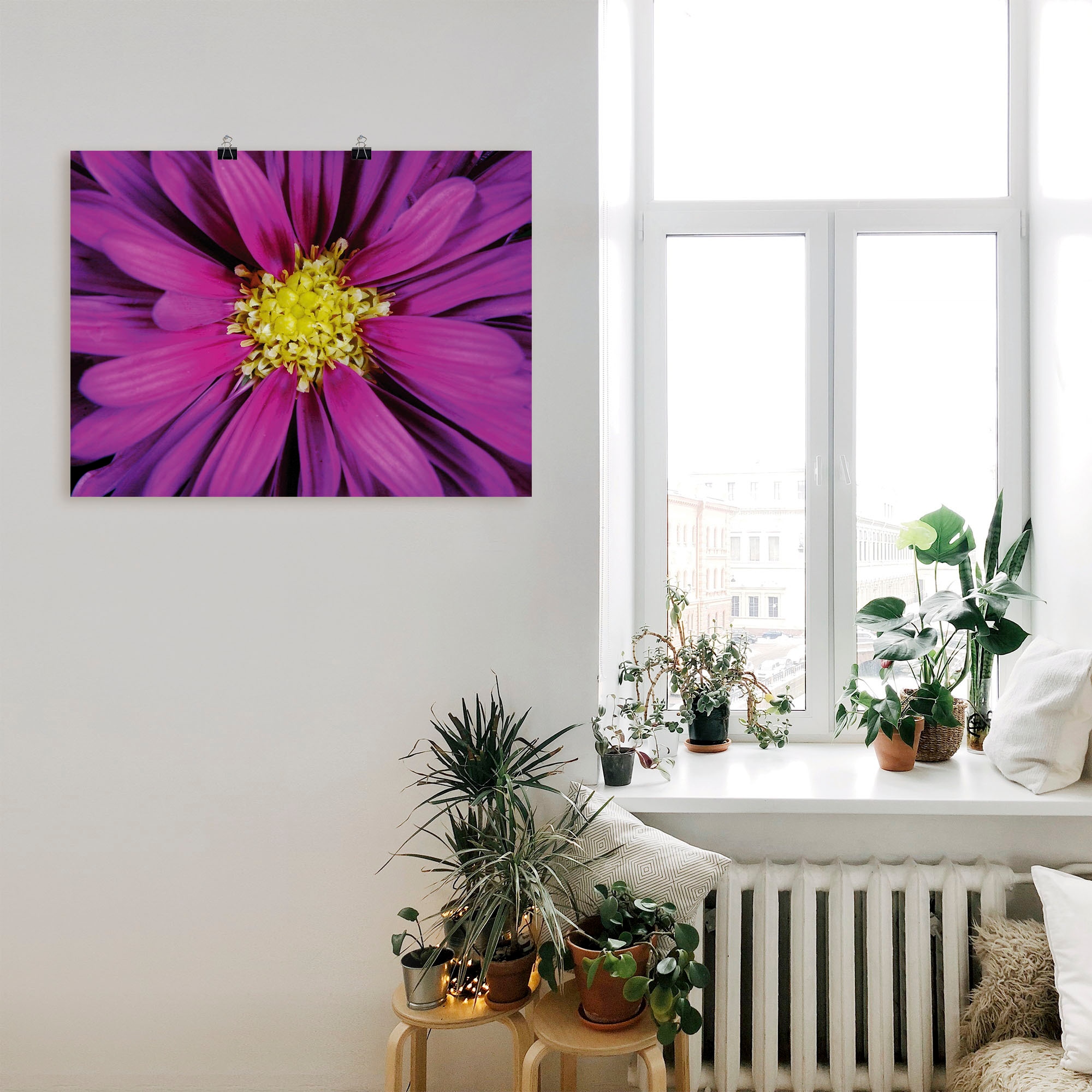 Artland Wandbild »Lila Dahlie«, Blumenbilder, (1 St.), als Alubild, Leinwandbild, Wandaufkleber oder Poster in versch. Größen
