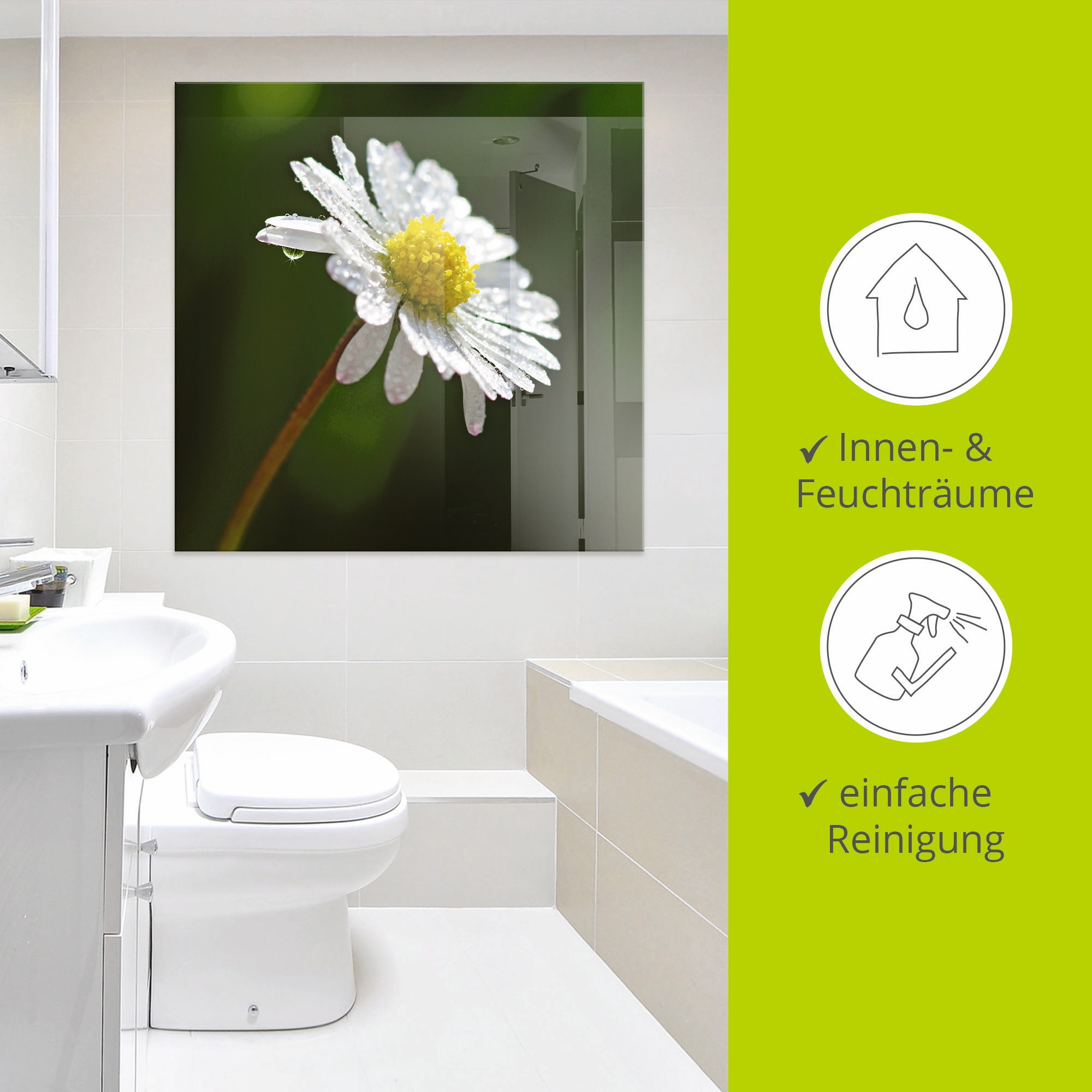 Artland Glasbild »Gänseblümchen« Blumen 1 Stk. tlg. in verschiedenen Größen