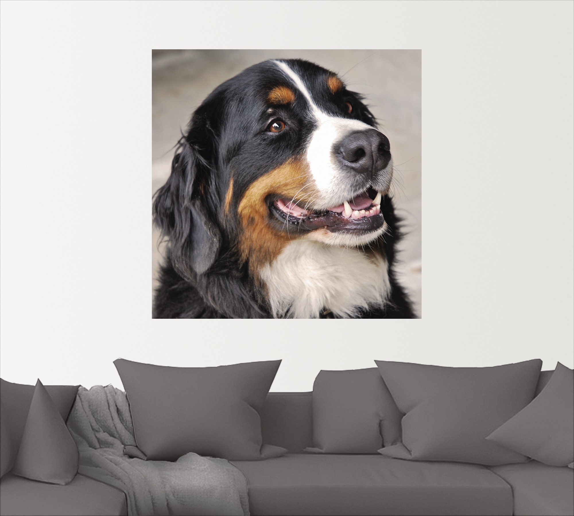 Artland Wandbild »Berner Sennenhund«, Haustiere, (1 St.), als Poster, Wandaufkleber in verschied. Größen