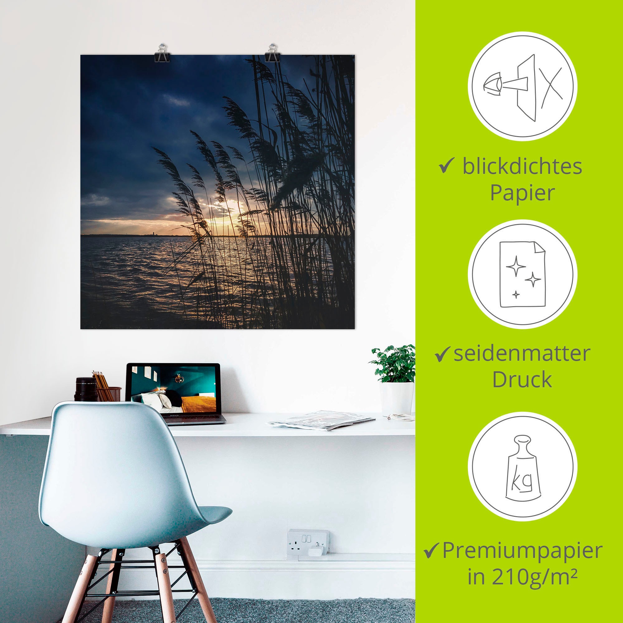 Artland Alu-Dibond-Druck »Sonnenuntergang mit Schilf am See«, Seebilder, (1 St.), für Innen- und Außenbereich geeignet, Outdoorbild