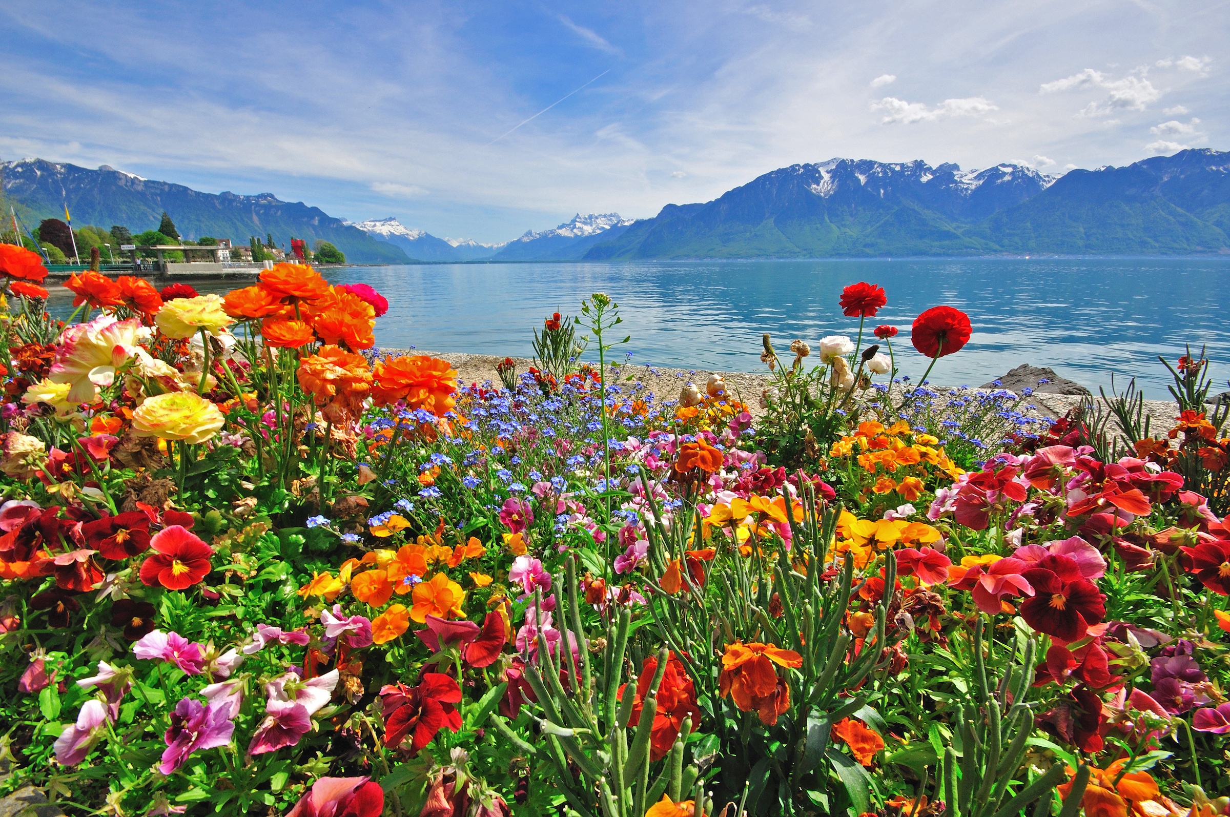 Papermoon Fototapete »BLUMEN-DESIGN NATUR LANDSCHAFT GEBIRGE BERGE ALPEN SEE«