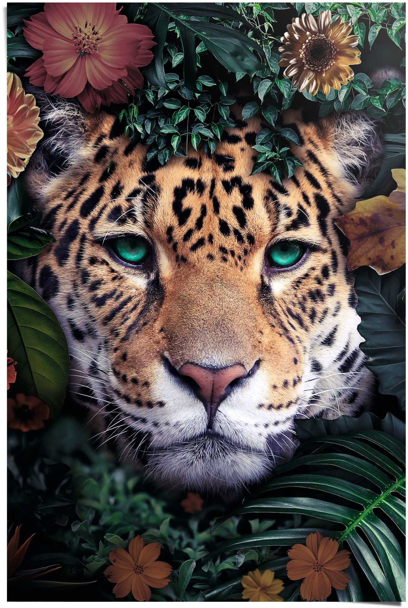 Jungle Tiermotiv »Leopard Poster - bequem Eyecatcher - - St.) Reinders! (1 Modern«, kaufen