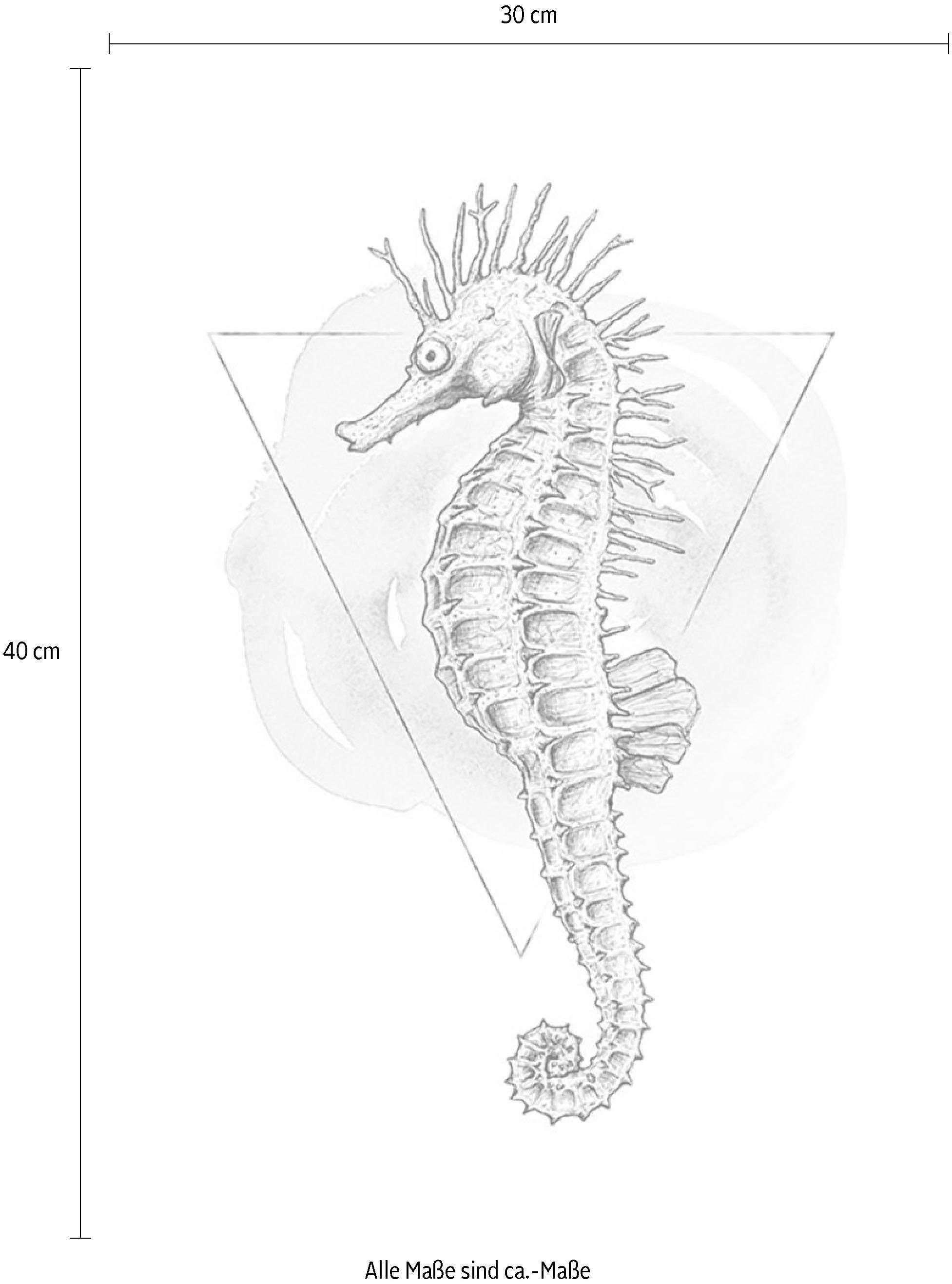 Komar Bild »Sea Horse Watercolor« Tiere 1 Stk. tlg. Wandbild zur Dekoration - ohne Rahmen