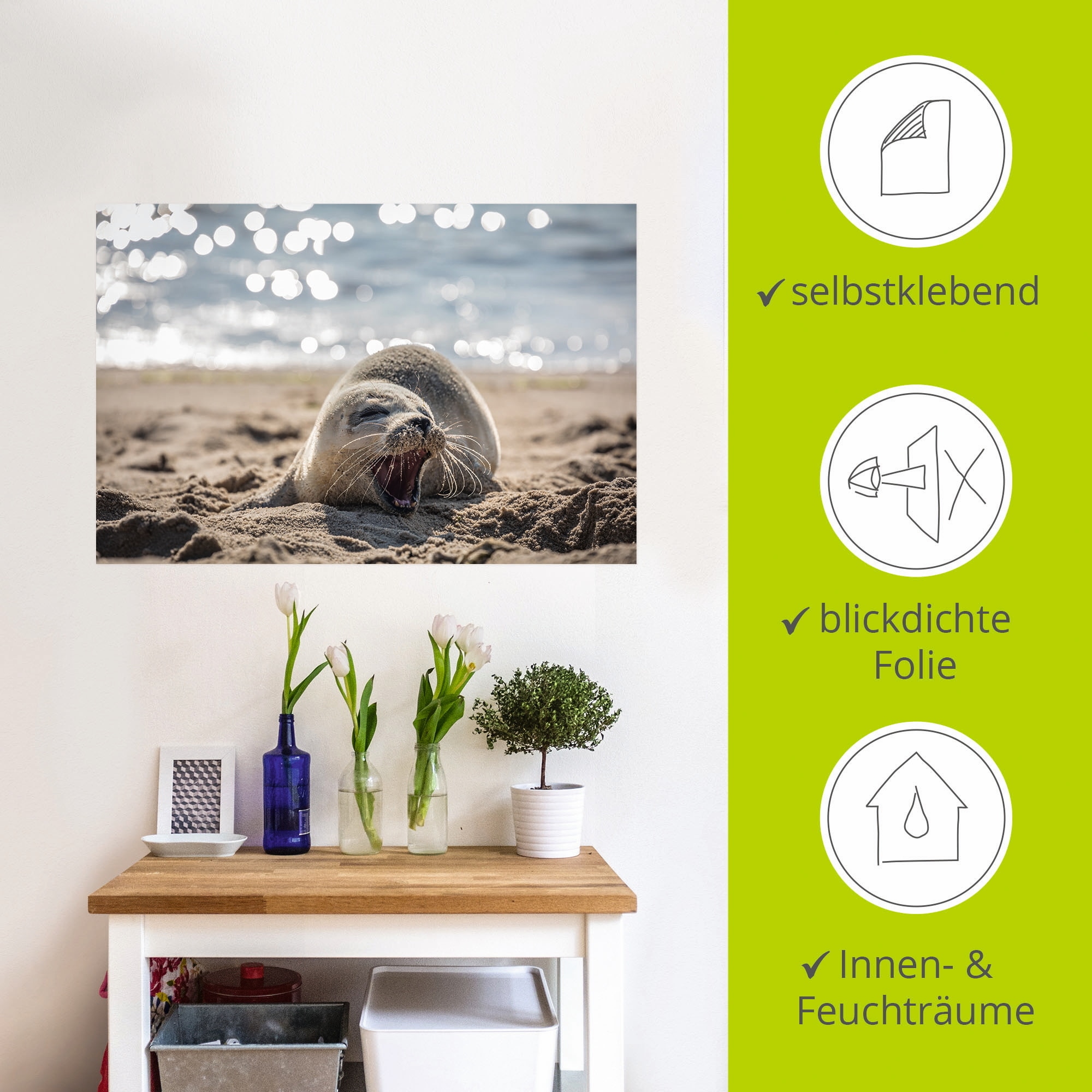 Artland Wandbild »Baby-Robbe am Strand von List, Sylt«, Robben, (1 St.), als Poster, Wandaufkleber in verschied. Größen