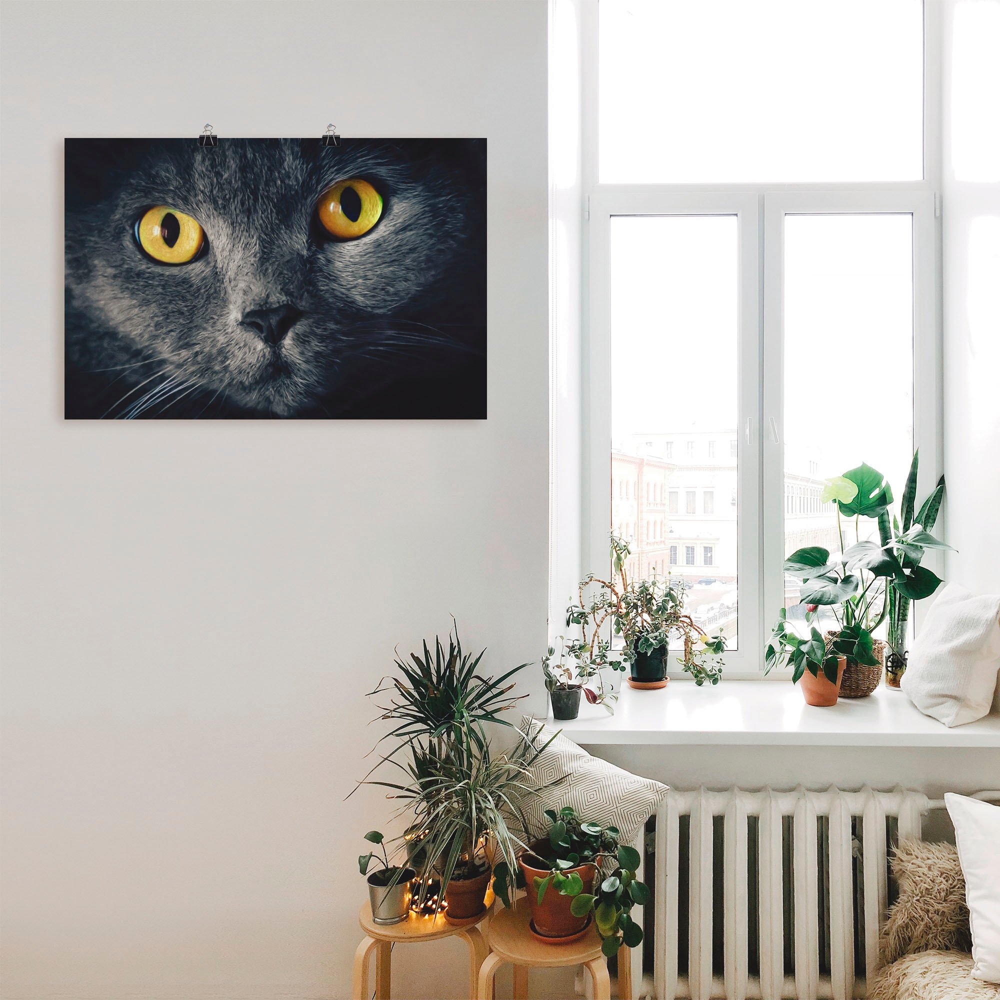 Artland Poster »Katzenaugen« Haustiere 1 Stk. tlg. ohne Rahmen