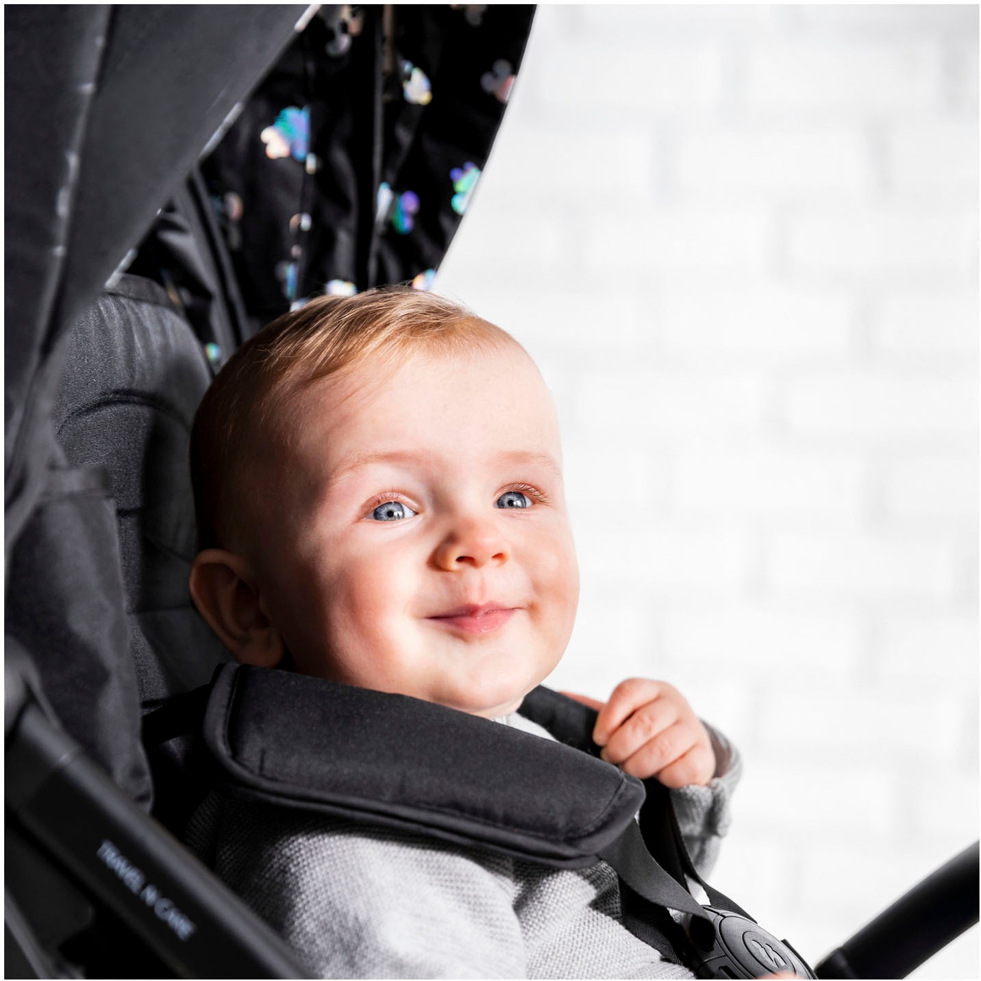 Hauck Kinder-Buggy »Travel N Care Disney 100«, 22 kg, inklusive Kinderwagenorganizer