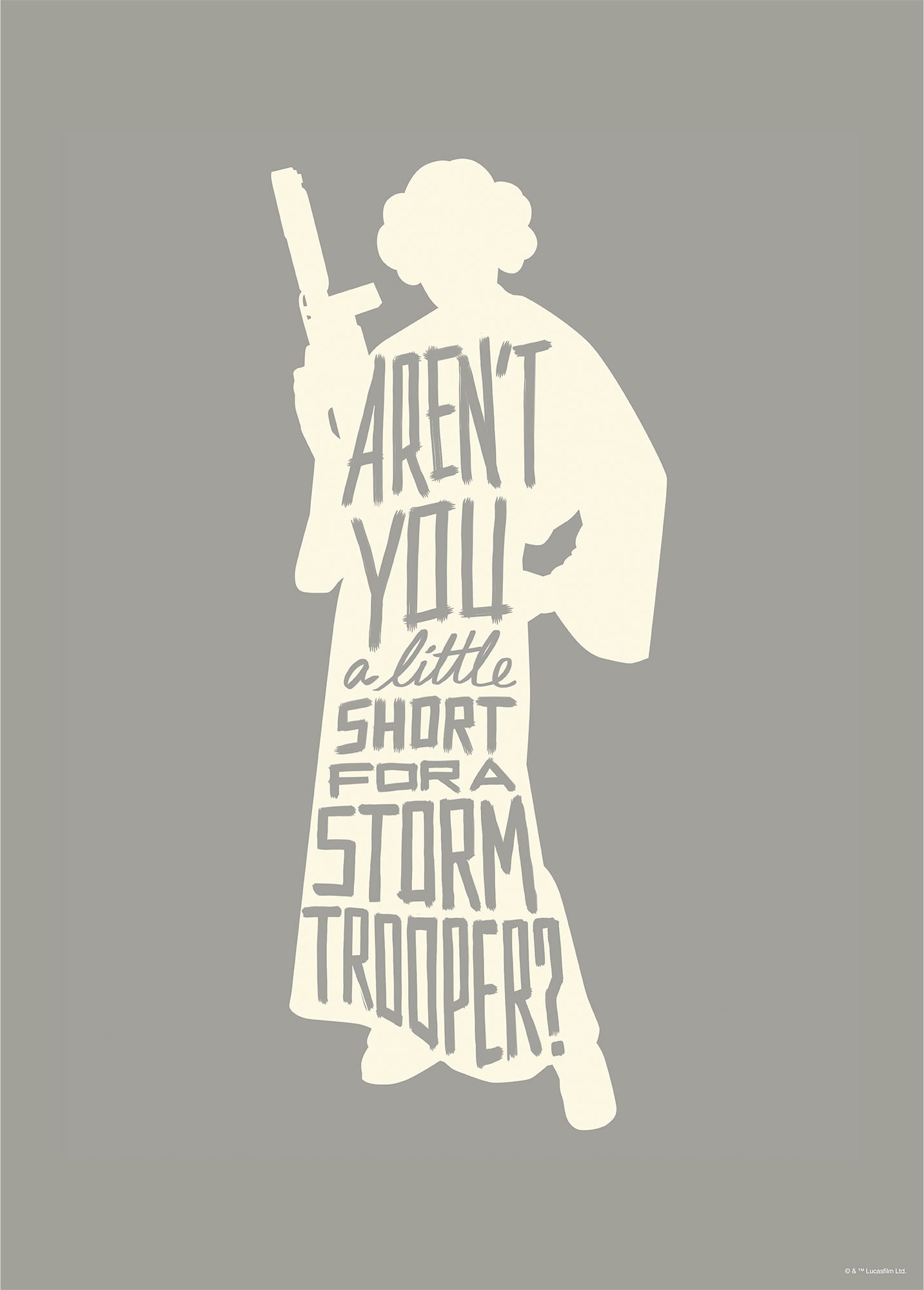 Affiche Art Star Wars Silhouette Quotes Leia 50x70cm,