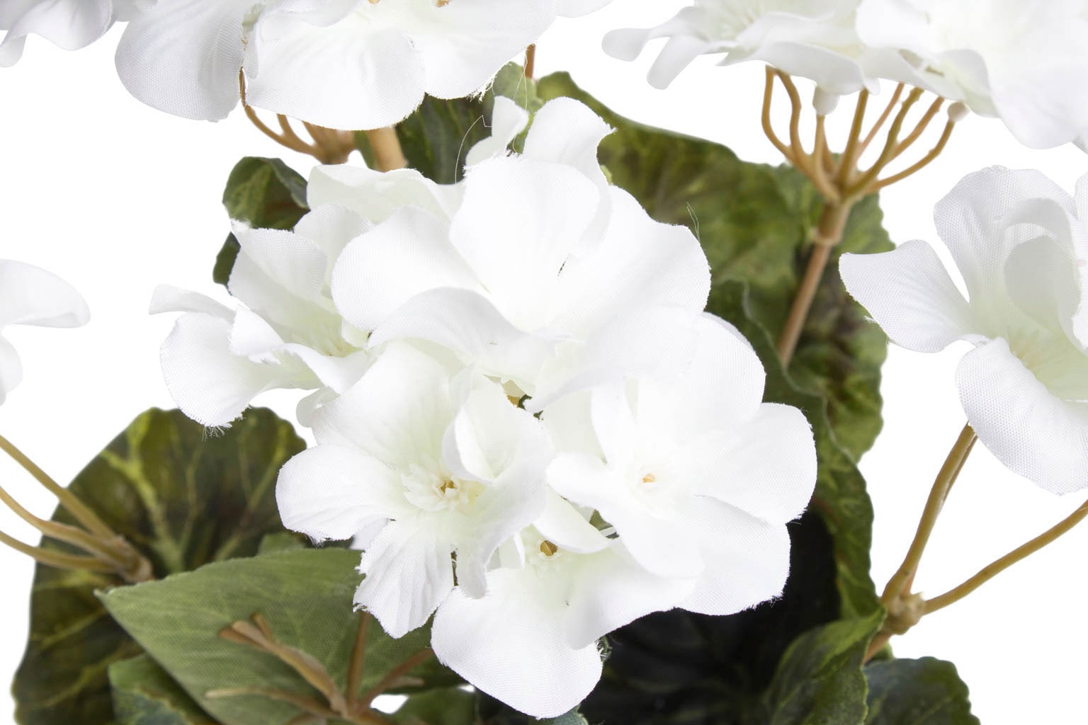 Rechnung »Geranienbusch« auf Botanic-Haus Kunstblume bestellen