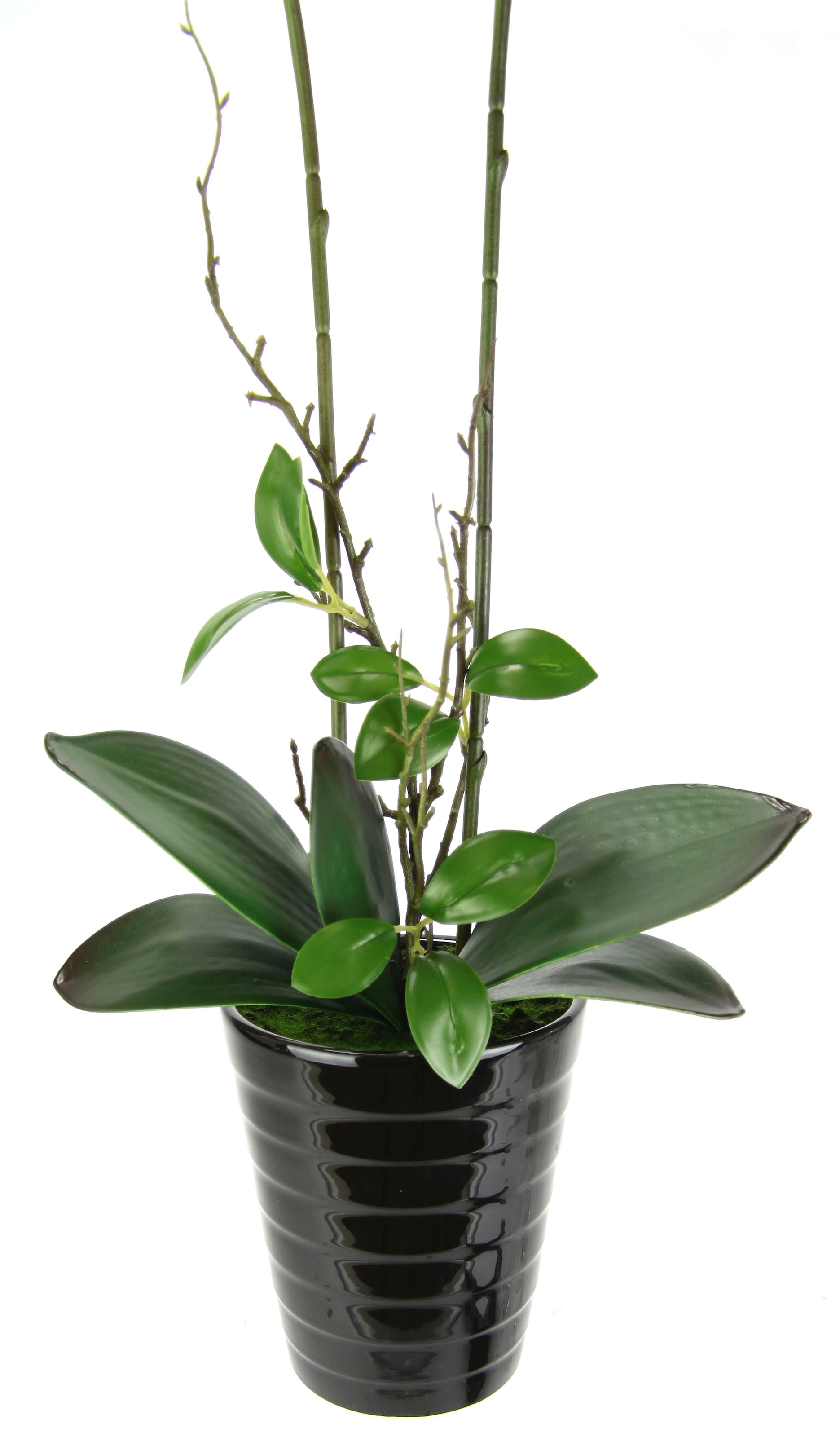 I.GE.A. Kunstblume »Orchidee«, Im Topf Phalaenopsis Orchidee Phalaenopsis mit Übertopf Hochzeit