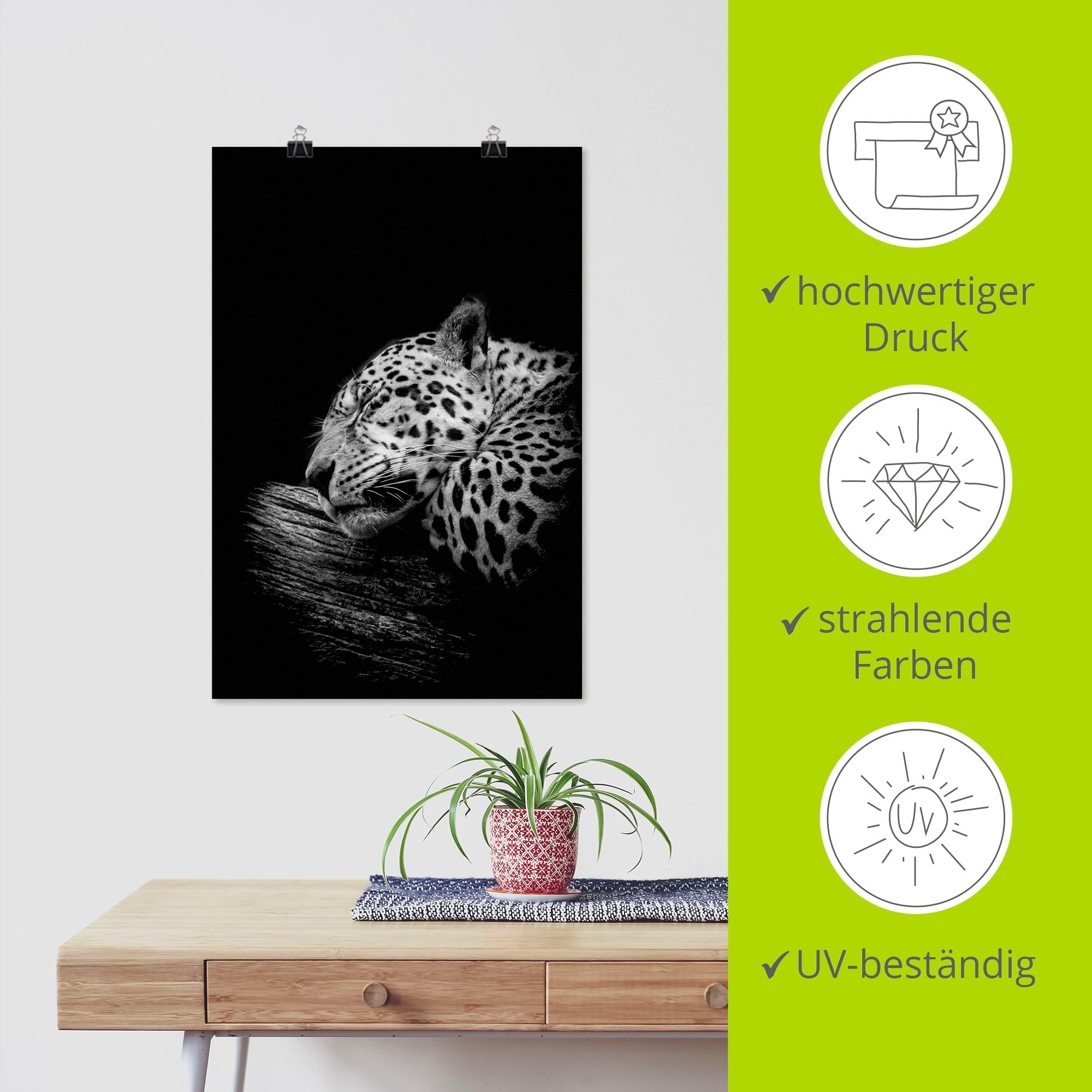 Artland Wandbild »Der schlafende Jaguar« Wildtiere 1 Stk. tlg. als Alubild, Poster in verschied. Größen