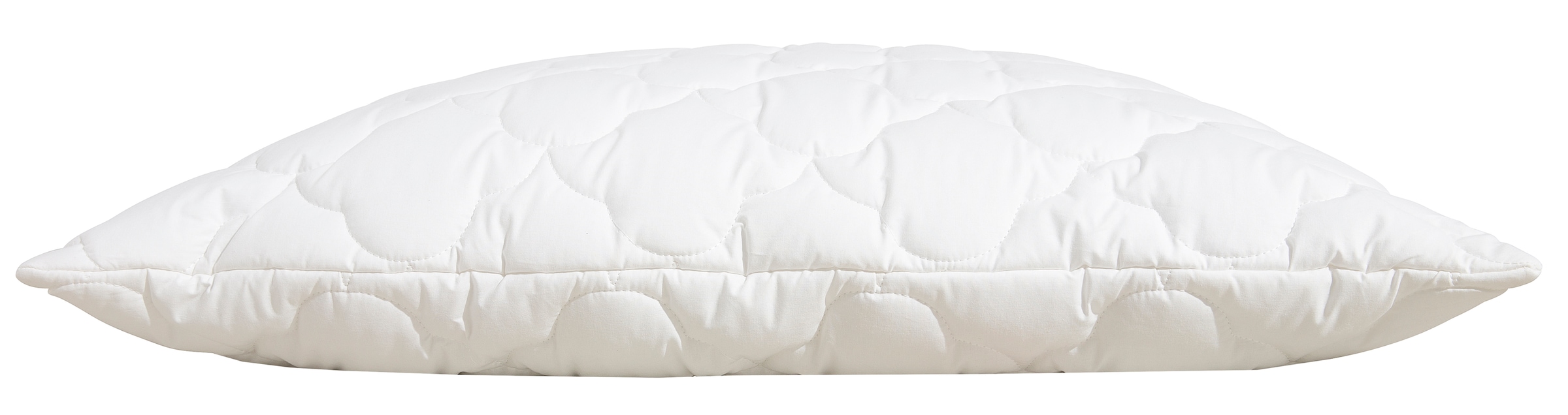 Beco Kopfkissen »EcoWell«, Füllung: Polyester, Bezug: Bio-Baumwolle oder Microfaser-Feinbatist samtweich, (1 St.), Kissen in den Größen 40x80 cm und 80x80 cm erhältlich!