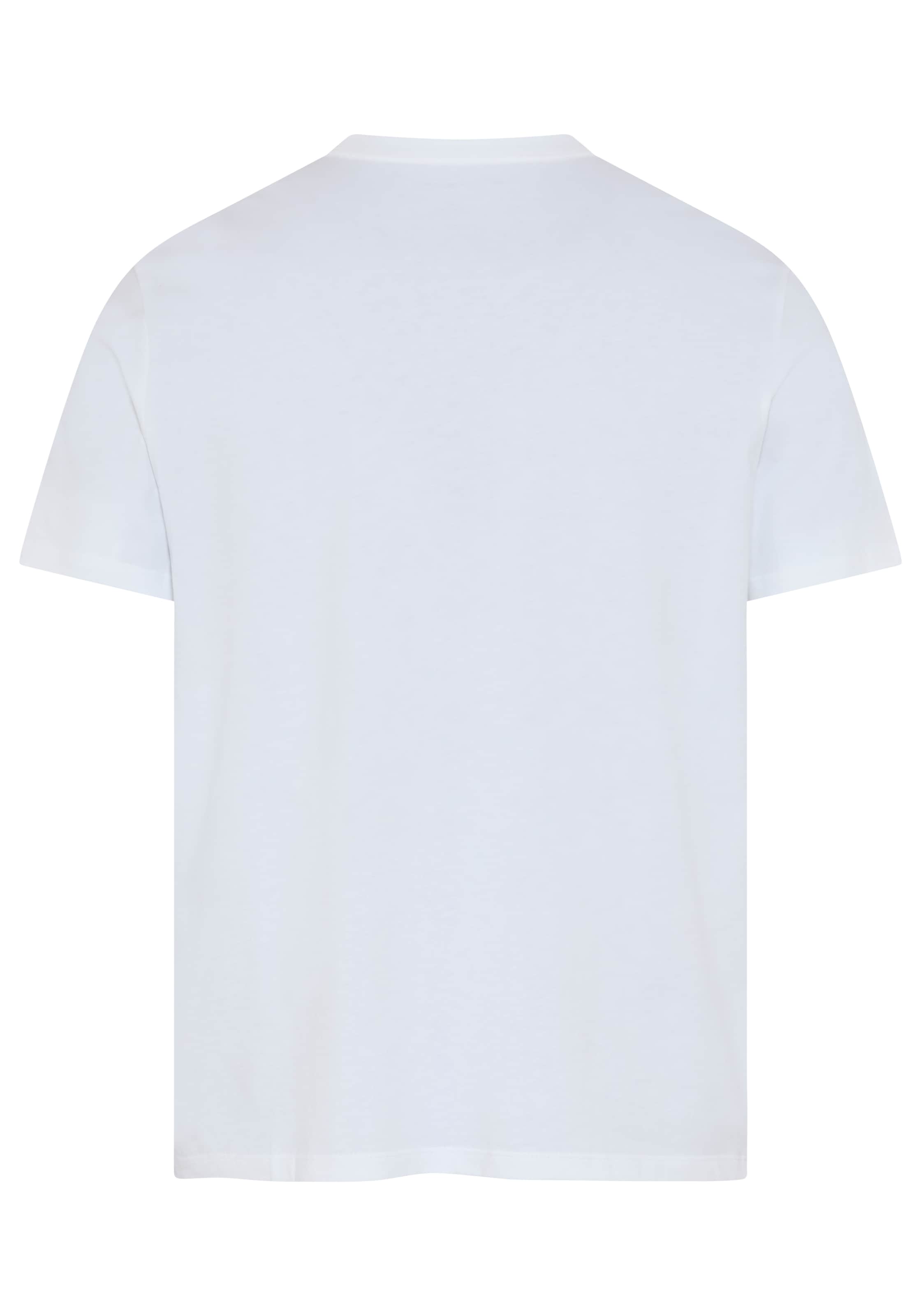 Calvin Klein Jeans T-Shirt »LINES SEASONAL« Regular fit mit Print