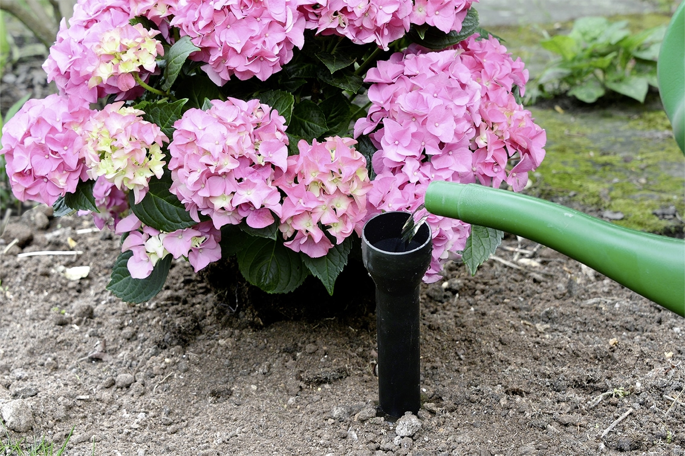 Maximex Bewässerungssystem (Set, 6 Stk. tlg.)  Wurzel-Gießer, ØxH: 5,5x30 cm