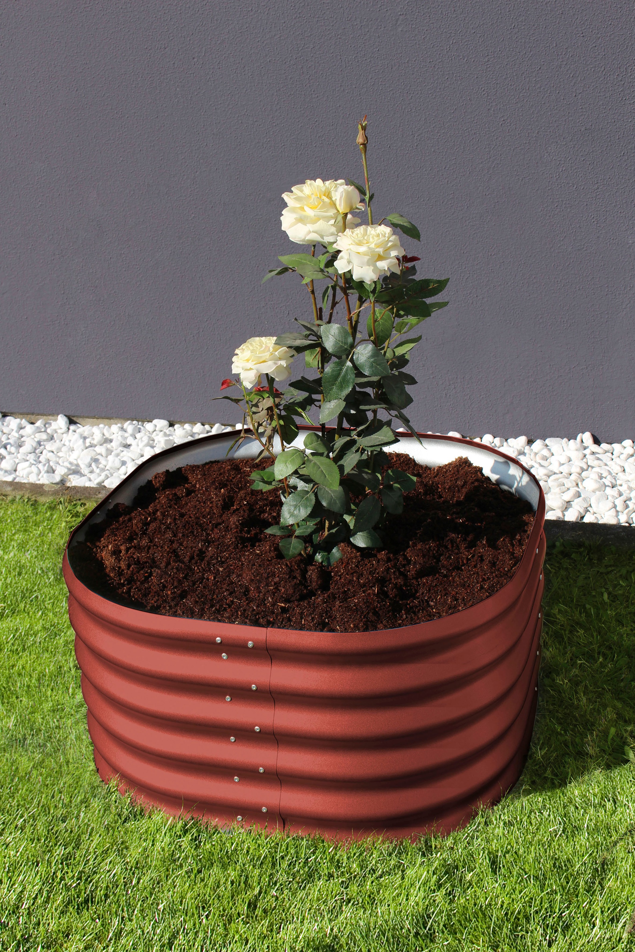 Vitavia Hochbeet »Terra Rund 401«, BxTxH: 82x82x40 cm, rubin