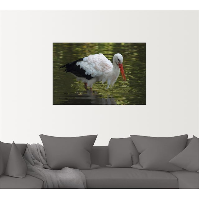 Artland Wandbild »Storch auf der Jagd«, Vögel, (1 St.), als Leinwandbild,  Wandaufkleber oder Poster in versch. Größen auf Raten bestellen