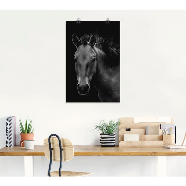 Artland Wandbild »Wildpferd«, Pferdebilder, (1 St.), als Alubild,  Leinwandbild, Wandaufkleber oder Poster in versch. Größen auf Raten kaufen