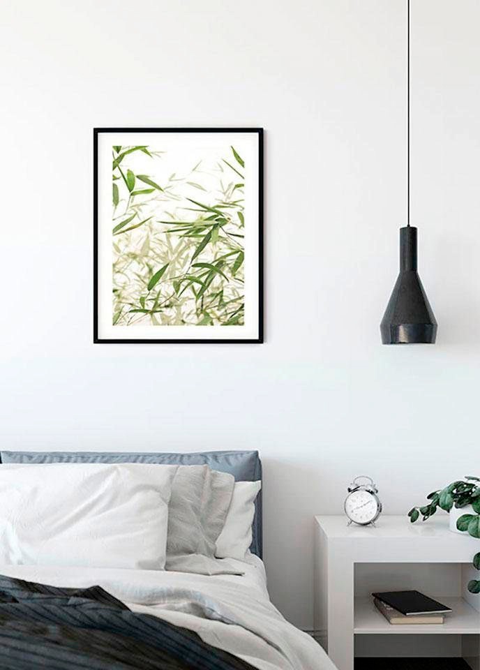 Komar Bild »Bamboo Leaves«, Pflanzen-Blätter, (1 St.), Wandbild zur Dekoration - ohne Rahmen
