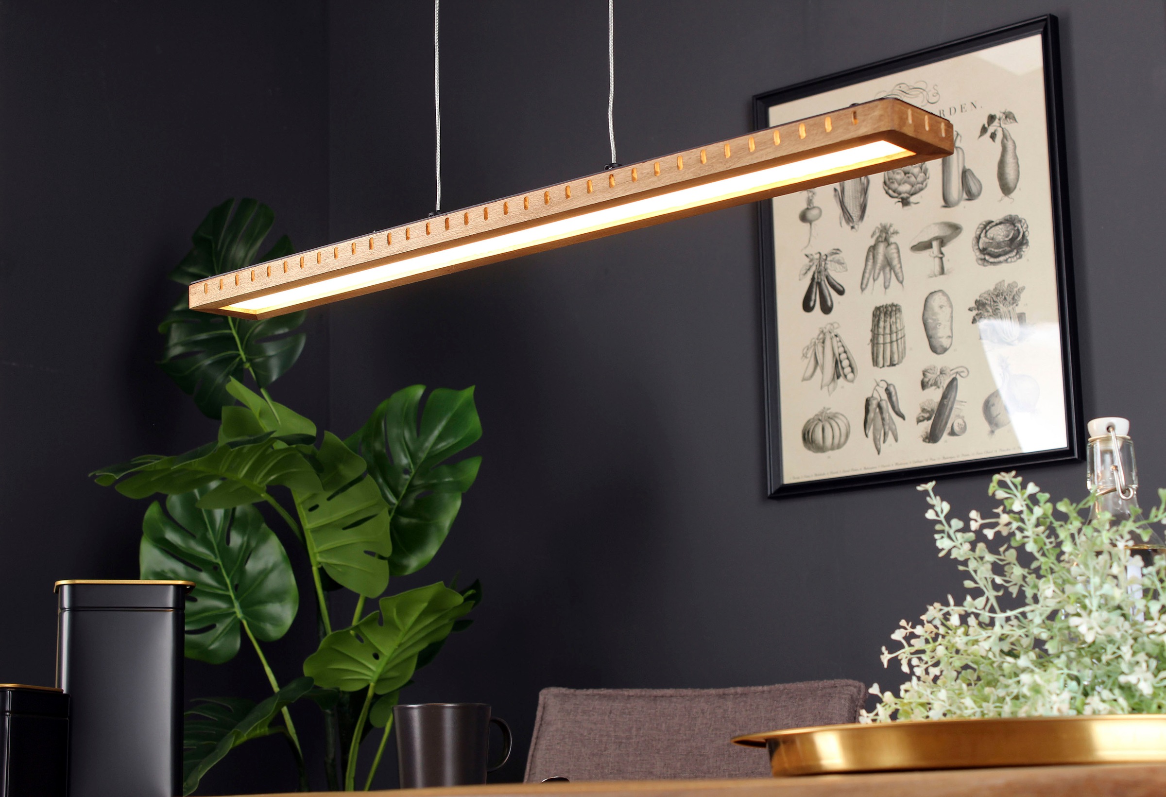ECO-LIGHT LED Pendelleuchte »Solaris«, Leuchtmittel LED-Modul | LED fest integriert