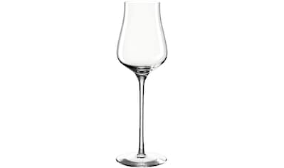 LEONARDO Grappaglas »BRUNELLI«, (Set, 6 tlg.), 210 ml, 6-teilig kaufen