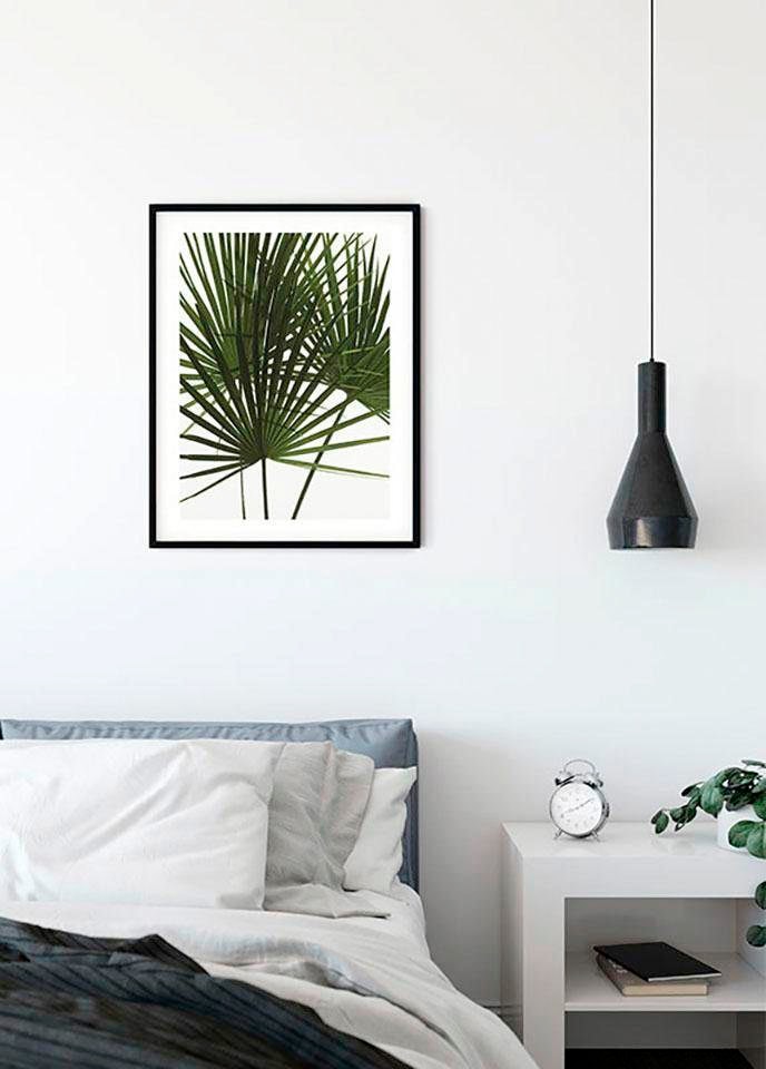Komar Poster »Palmtree Leaves«, Pflanzen, Höhe: 70cm online kaufen | mit 3  Jahren XXL Garantie