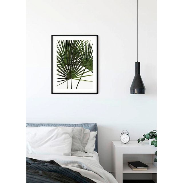 Komar Poster »Palmtree Leaves«, Pflanzen, Höhe: 70cm online kaufen | mit 3  Jahren XXL Garantie