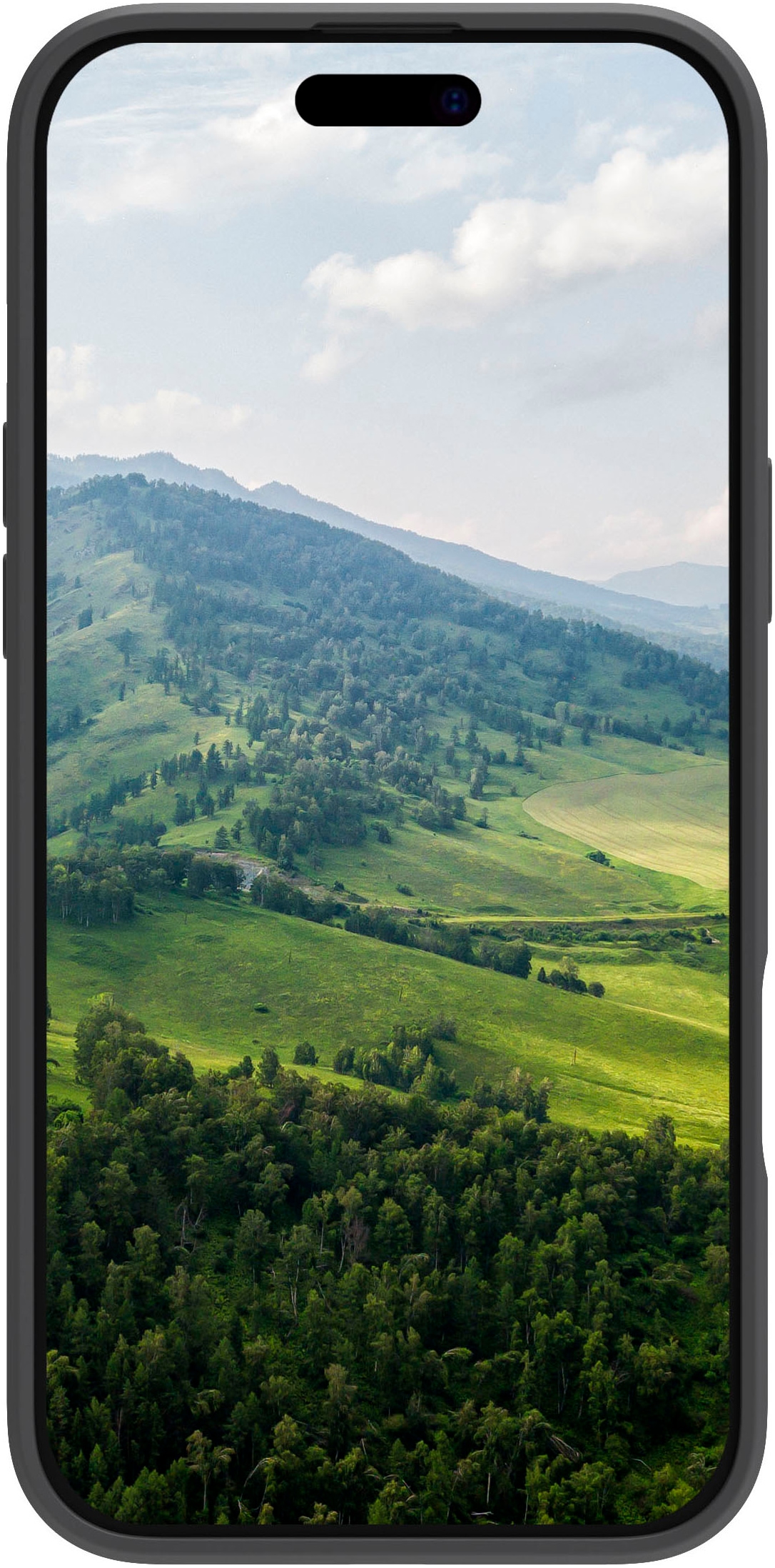 dbramante1928 Smartphone-Hülle »Greenland Pro Magsafe iPhone 16« Smartphones