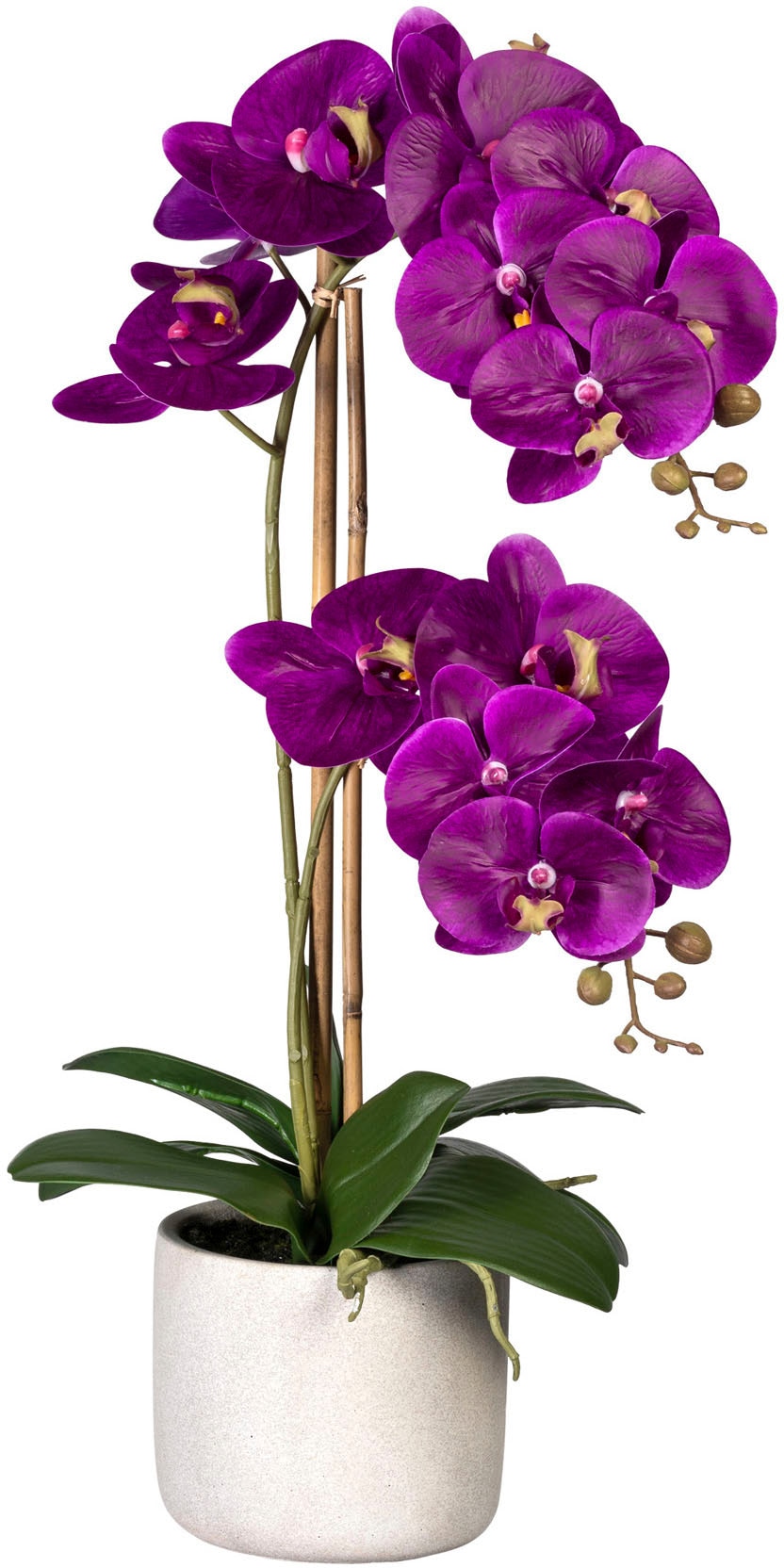 Creativ green Kunstorchidee bestellen »Phalaenopsis«, Rechnung Zementtopf auf im