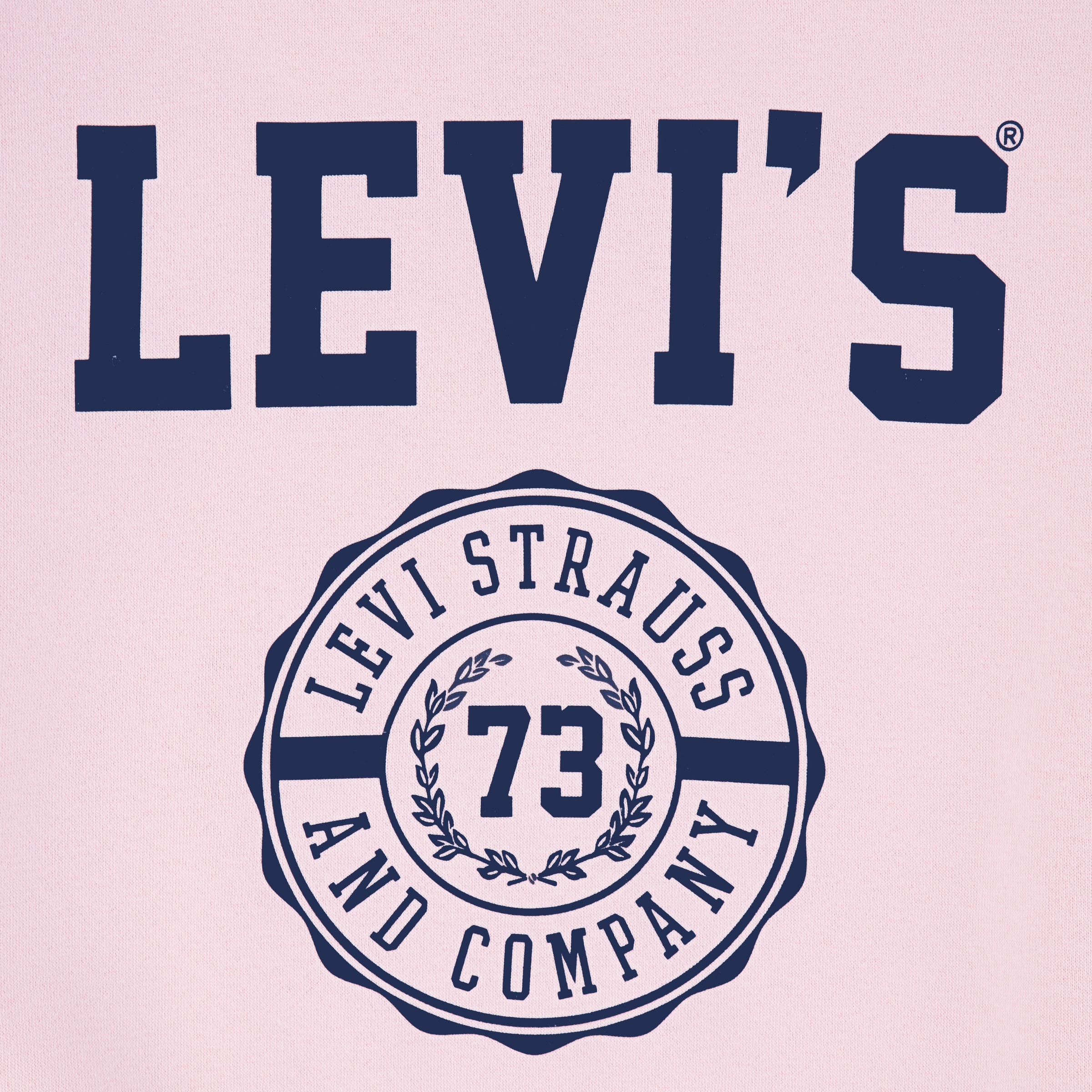 Levi's® Kids Sweatshirt »LVG COLLEGIATE CREW«, mit Markenprint, for Girls
