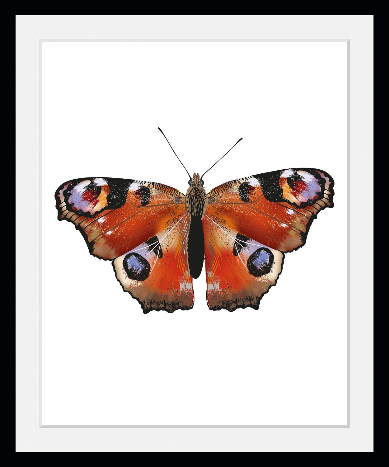 Bild »Lena«, Schmetterlinge, (1 St.)