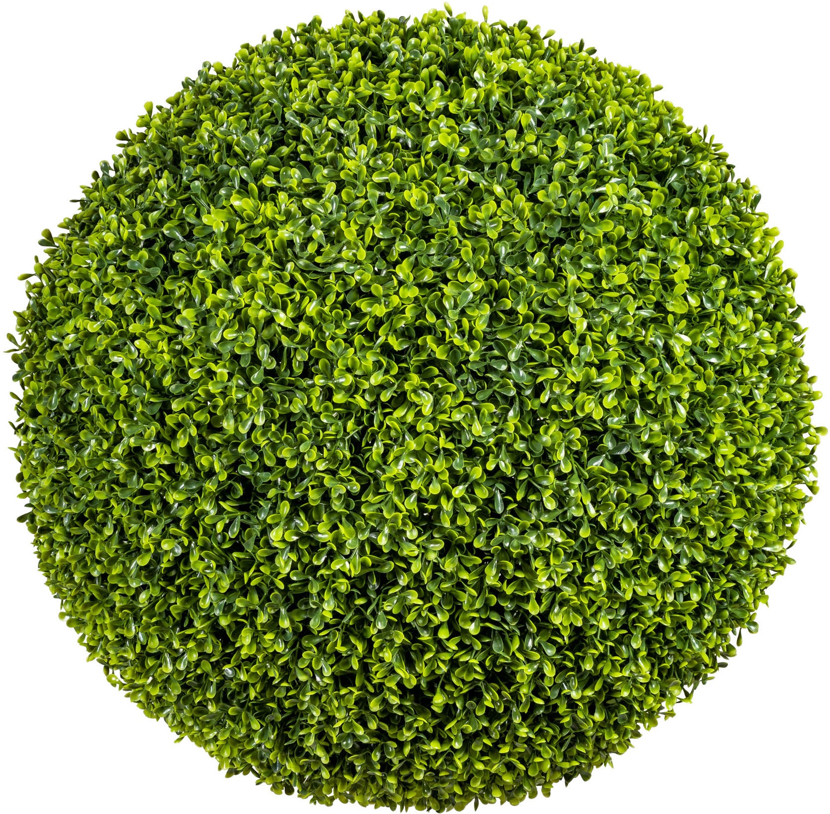 Creativ green Kunstpflanze Jahren »Buchsbaumkugel« online Garantie kaufen | 3 mit XXL