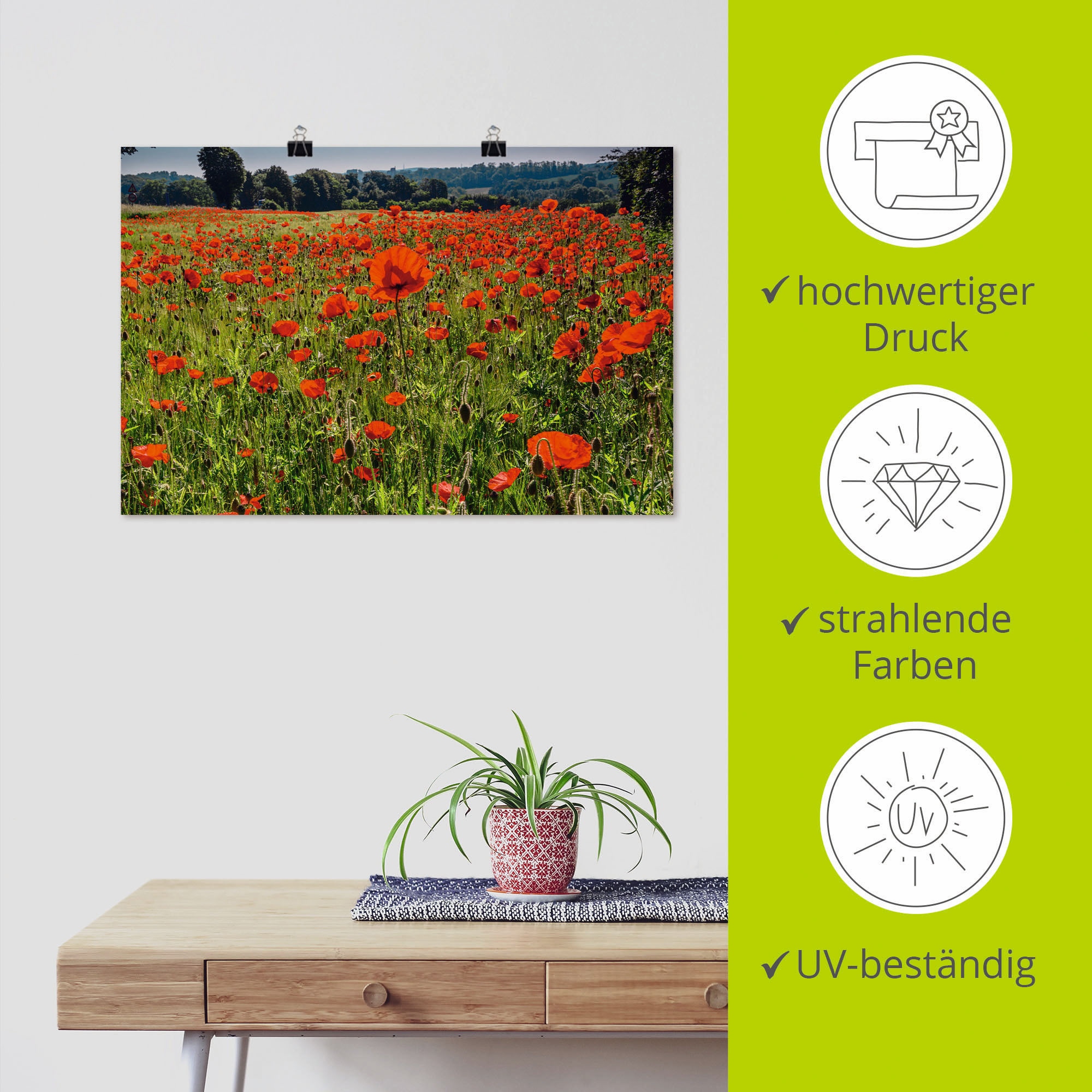 Artland Wandbild »Mohnblumenwiese«, Blumenwiese, (1 St.), als Alubild,  Leinwandbild, Wandaufkleber oder Poster in versch. Größen auf Raten  bestellen