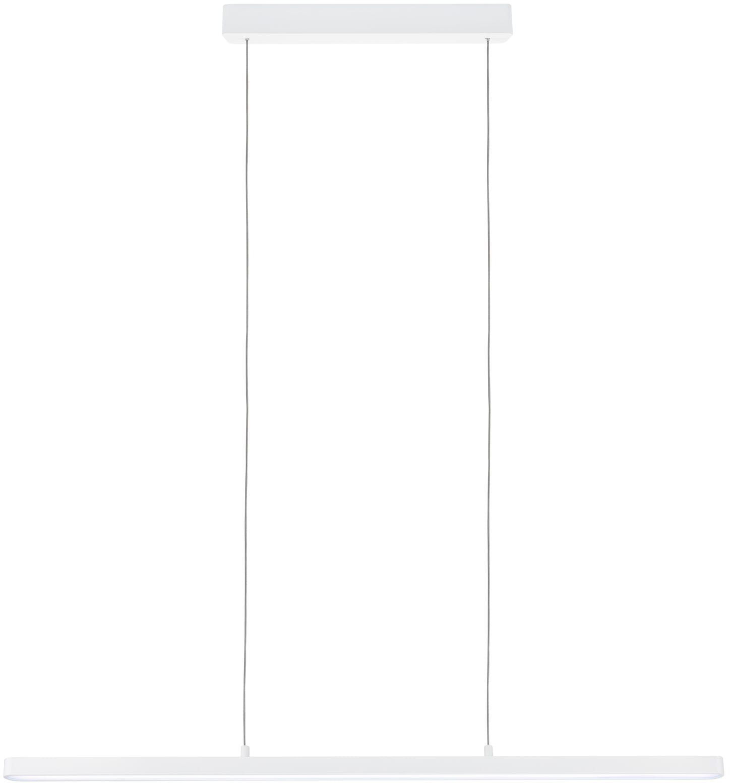 Paulmann LED Pendelleuchte »Lento«, 1 flammig