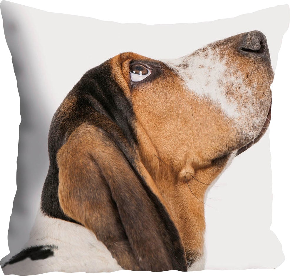 queence Dekokissen »Jens« Hund mit Dackelblick, Kissenhülle ohne Füllung, 1 Stück
